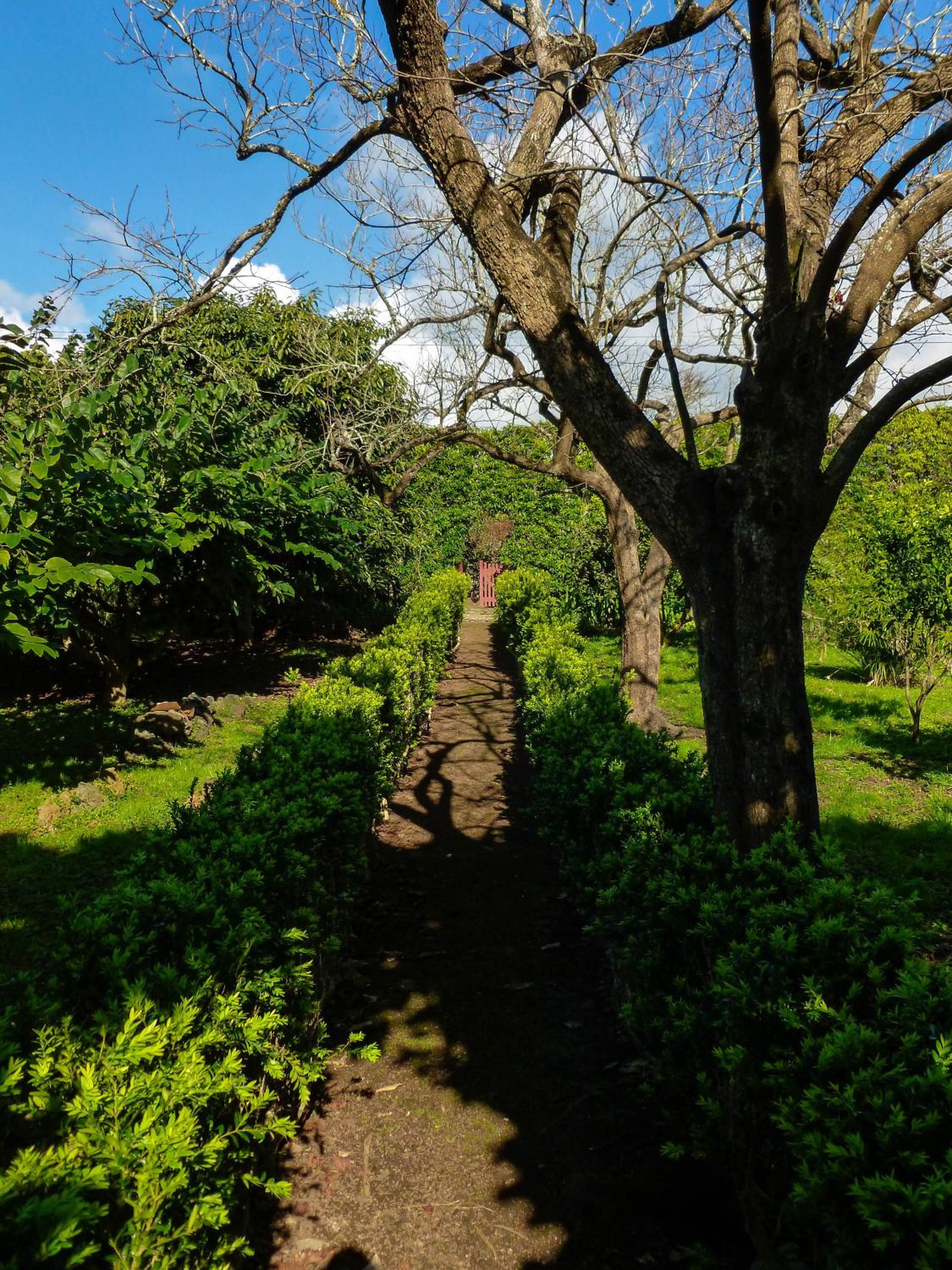 Quinta do Espírito Santo