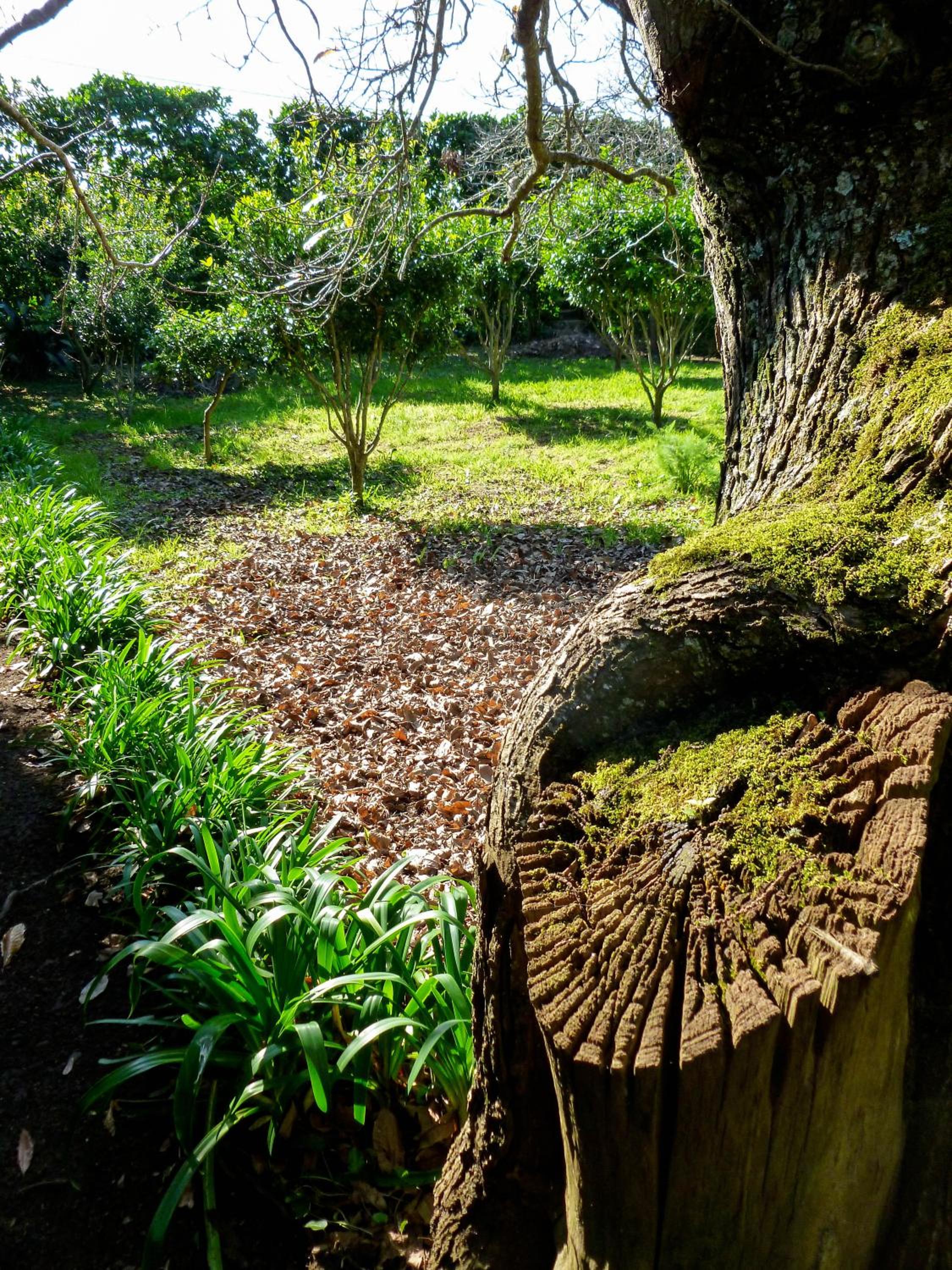 Quinta do Espírito Santo