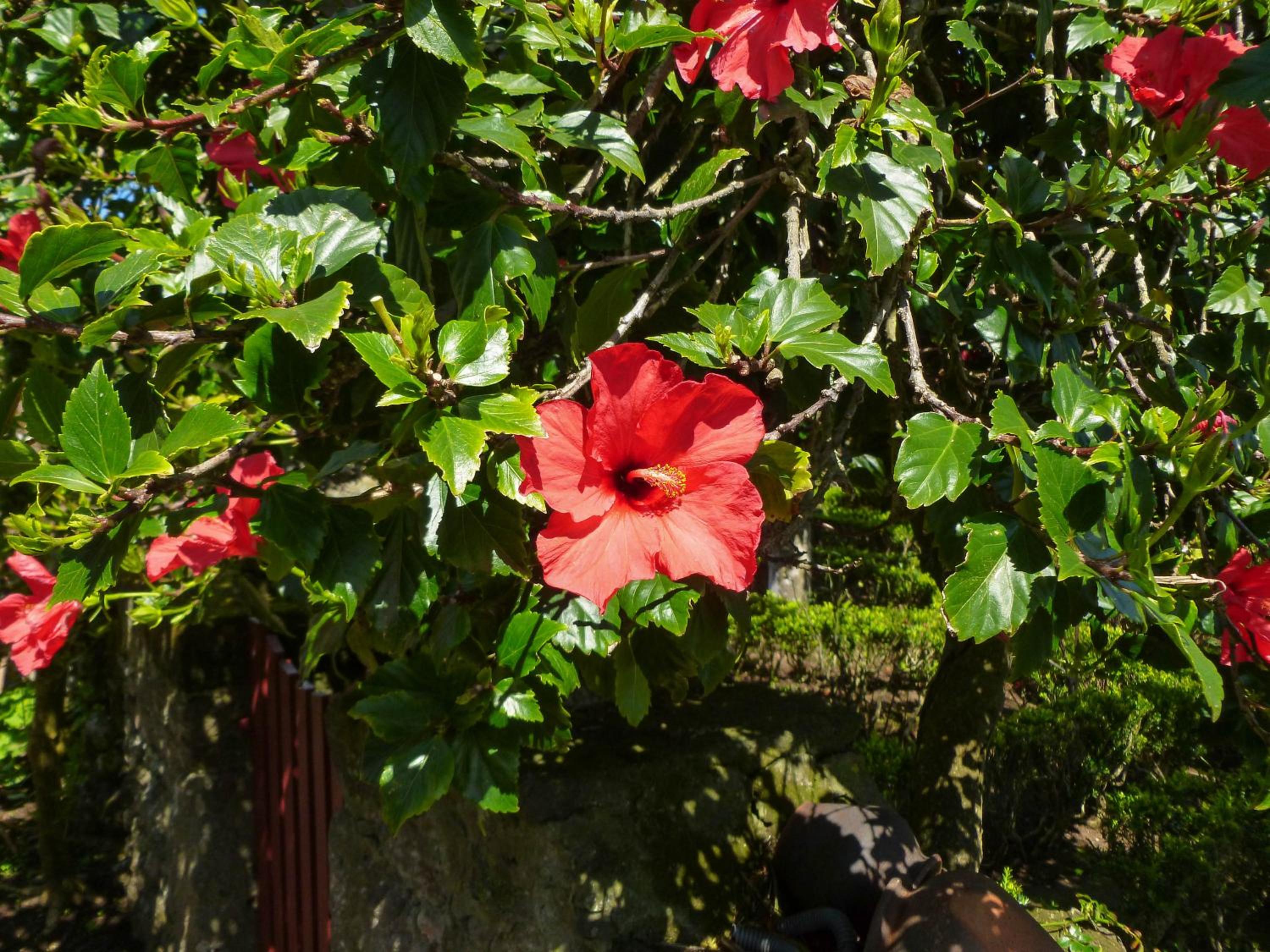 Quinta do Espírito Santo