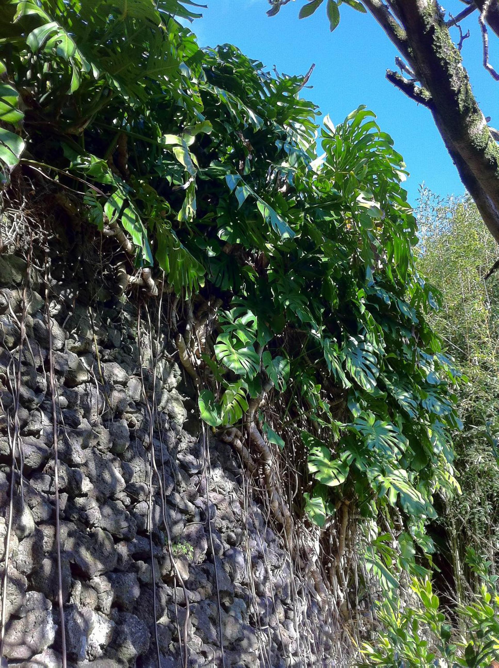 Quinta do Espírito Santo