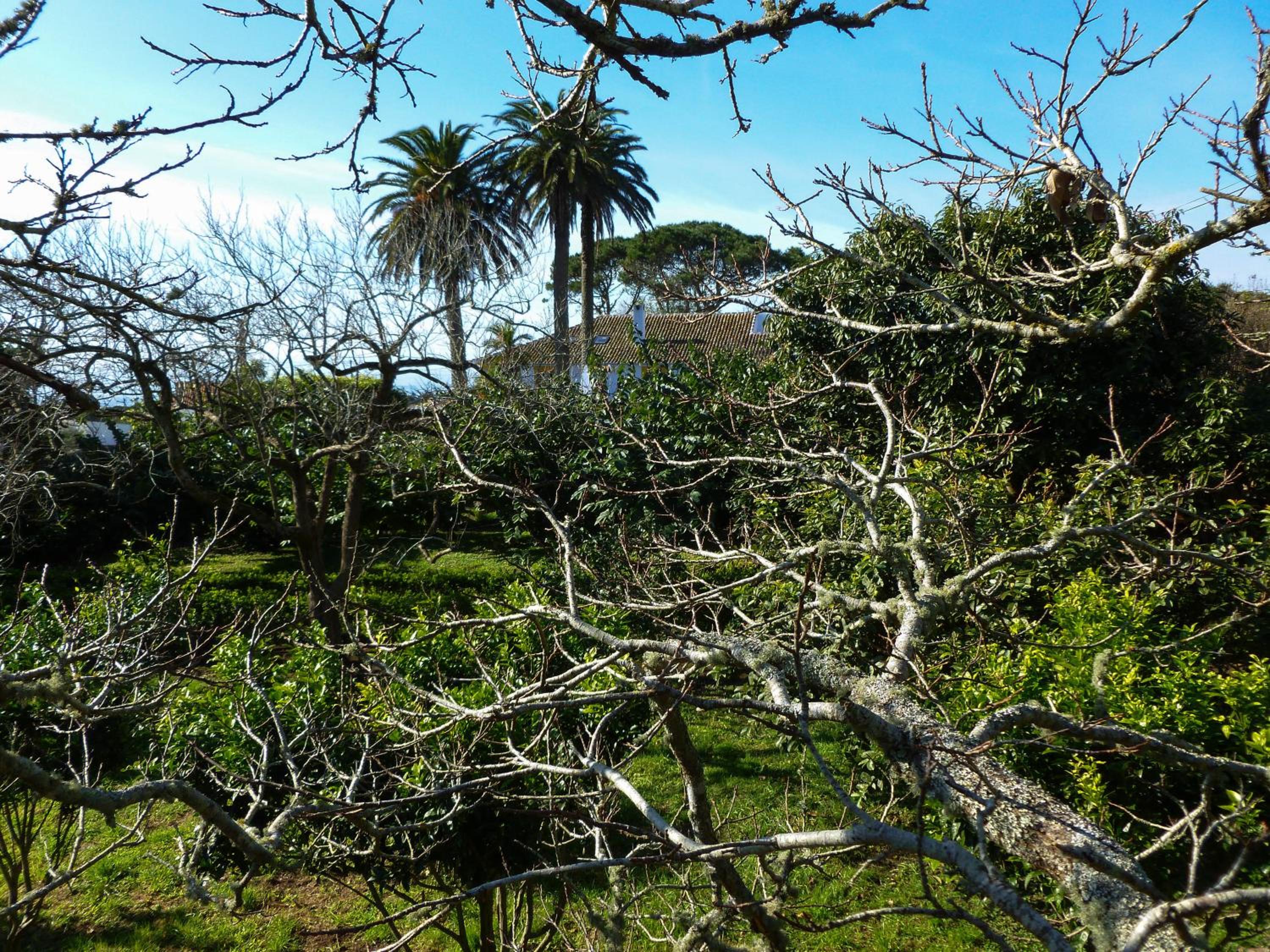 Quinta do Espírito Santo