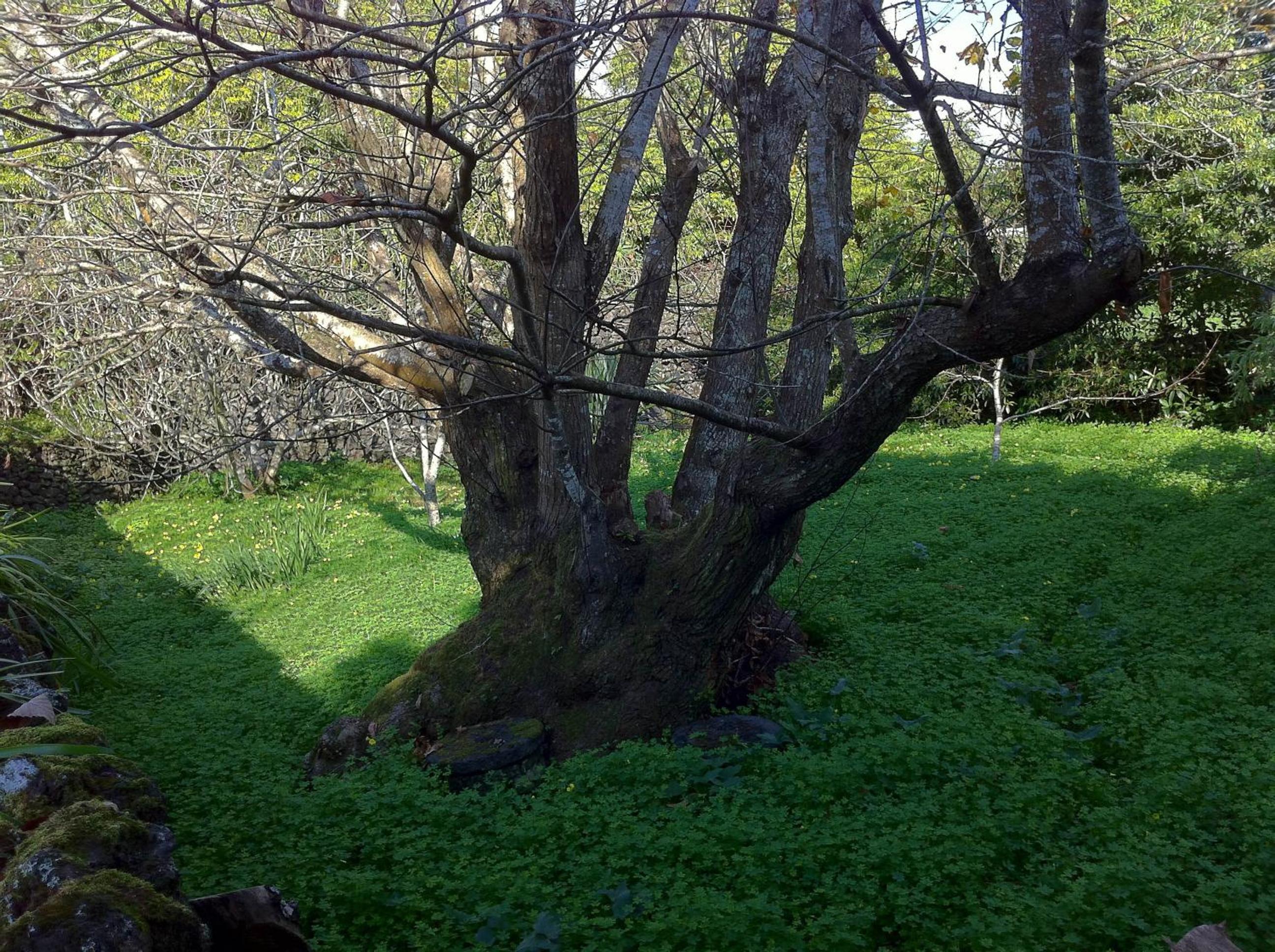 Quinta do Espírito Santo