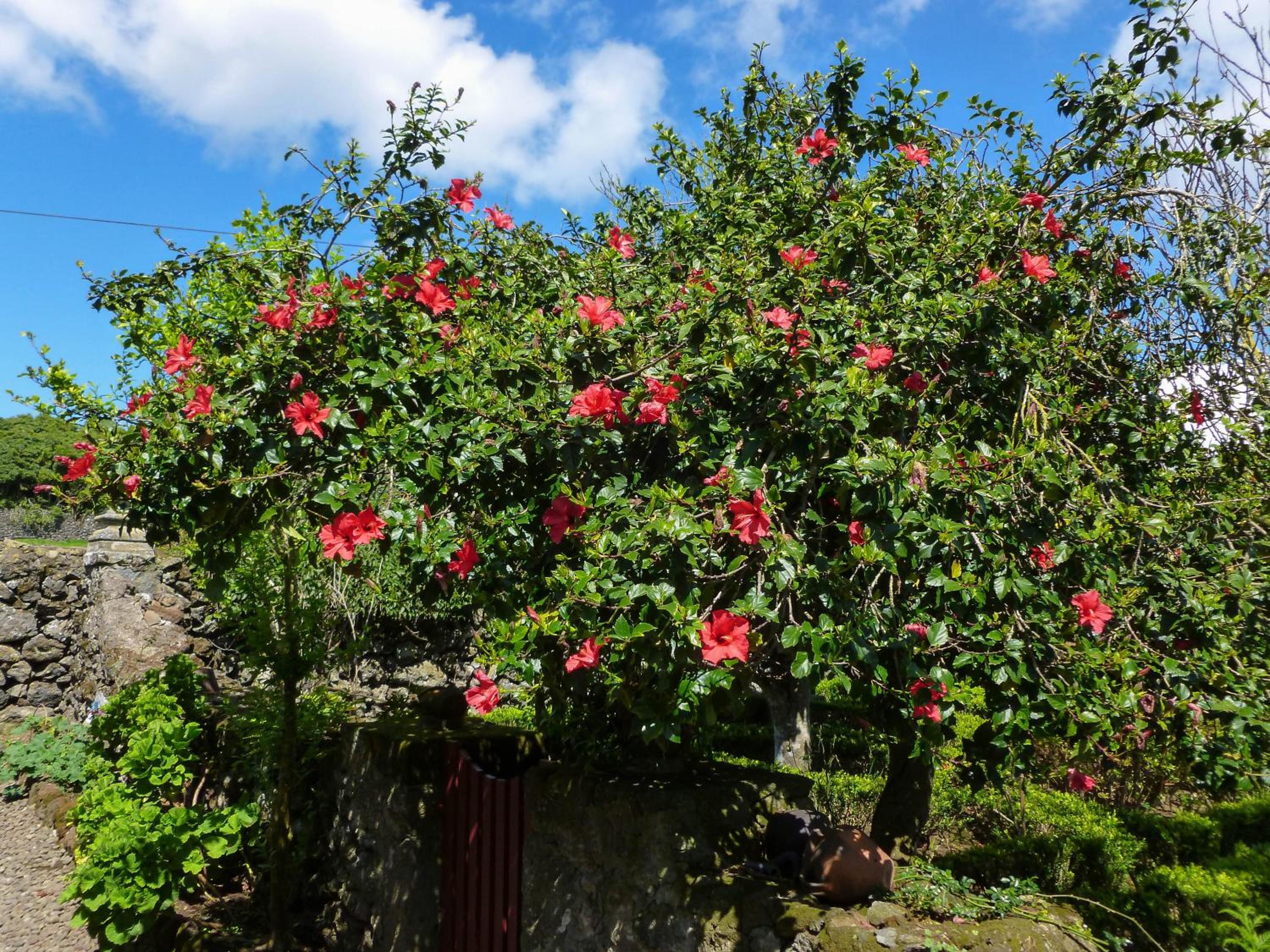 Quinta do Espírito Santo
