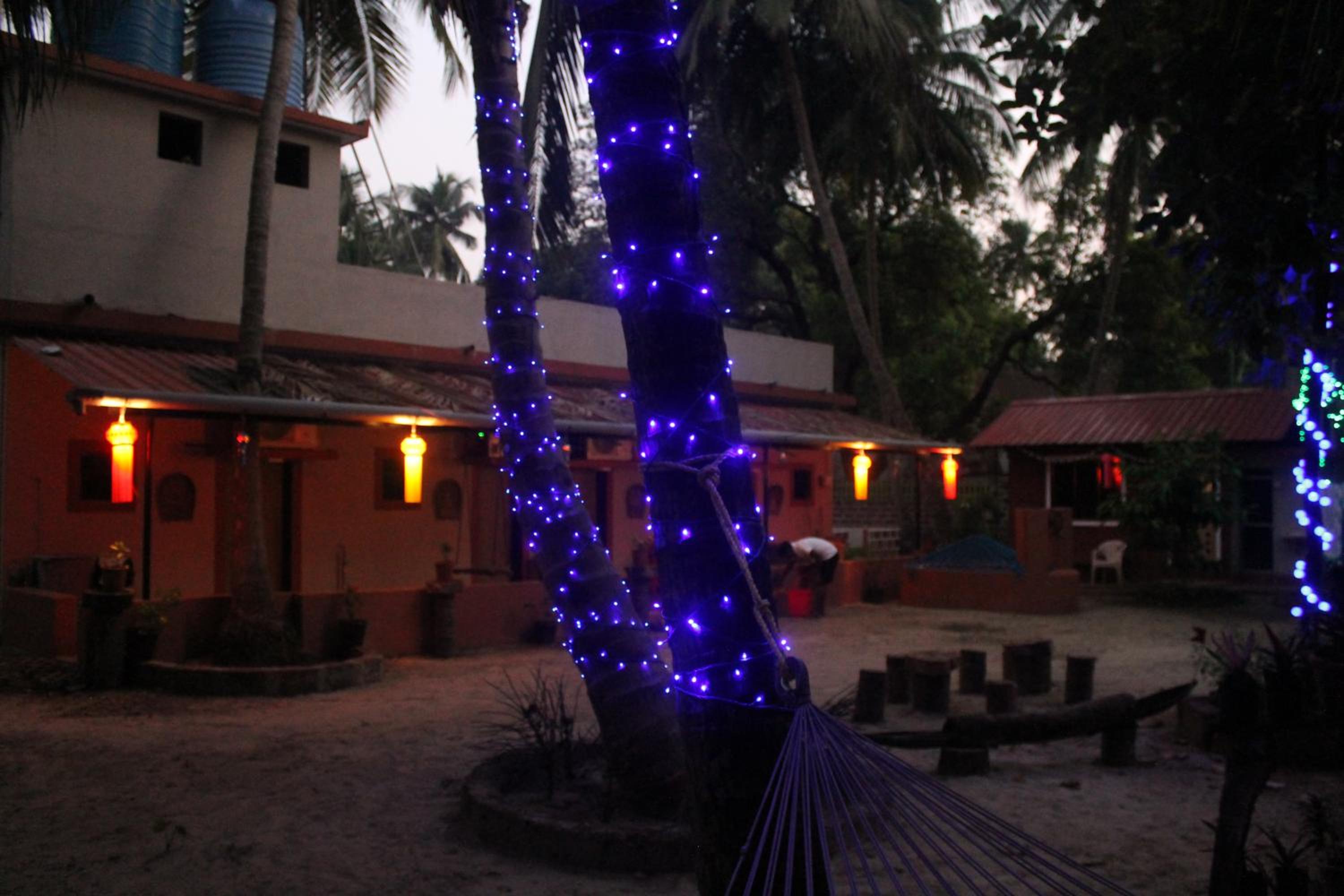 Photo 44
