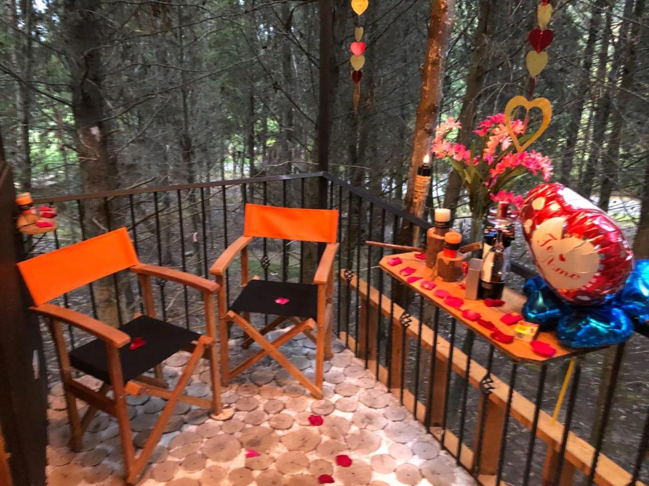 Despierta En El Árbol Desayuno Americano a tu ritmo somos Petfriendly