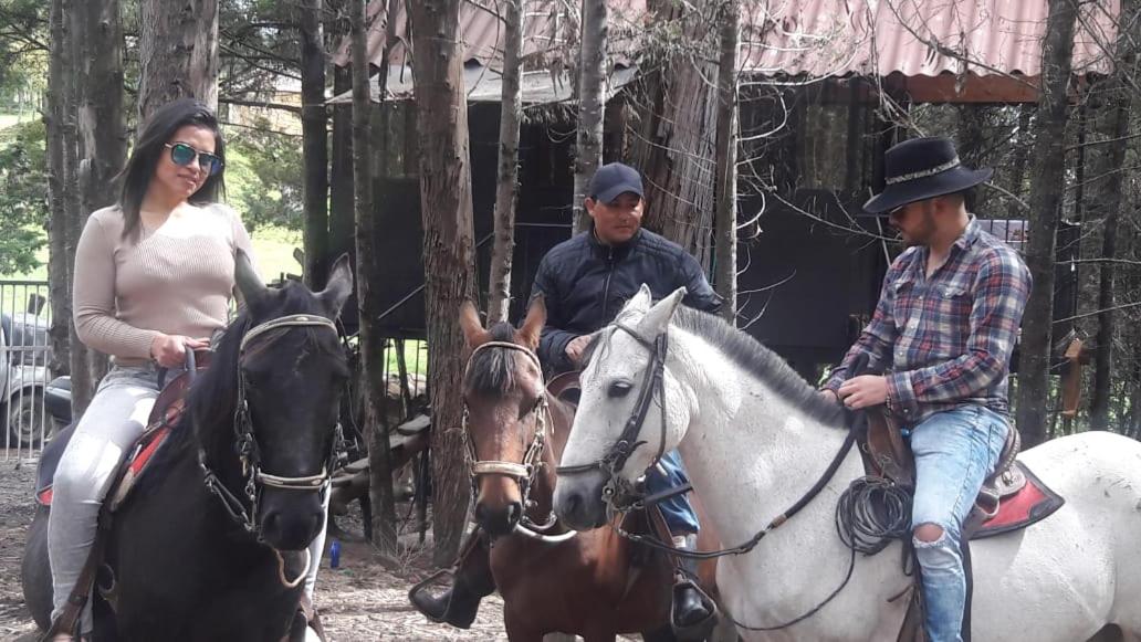 Despierta En El Árbol Desayuno Americano a tu ritmo somos Petfriendly