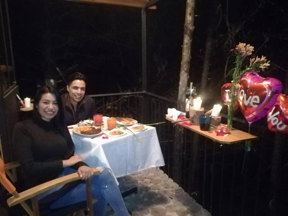 Despierta En El Árbol Desayuno Americano a tu ritmo somos Petfriendly