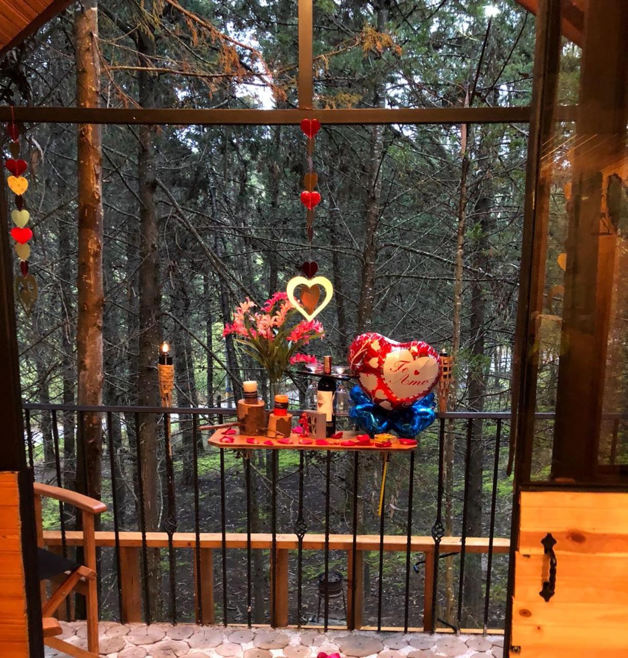 Despierta En El Árbol Desayuno Americano a tu ritmo somos Petfriendly