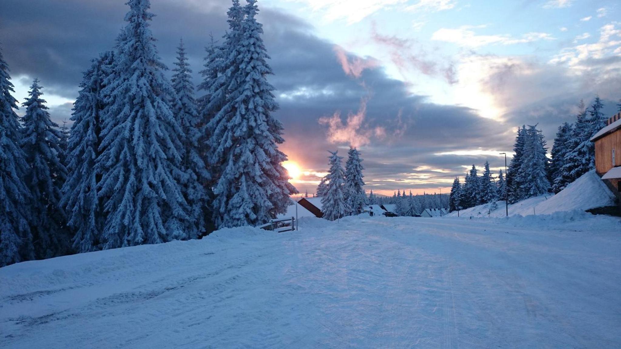 Rogla Apartma Kekec