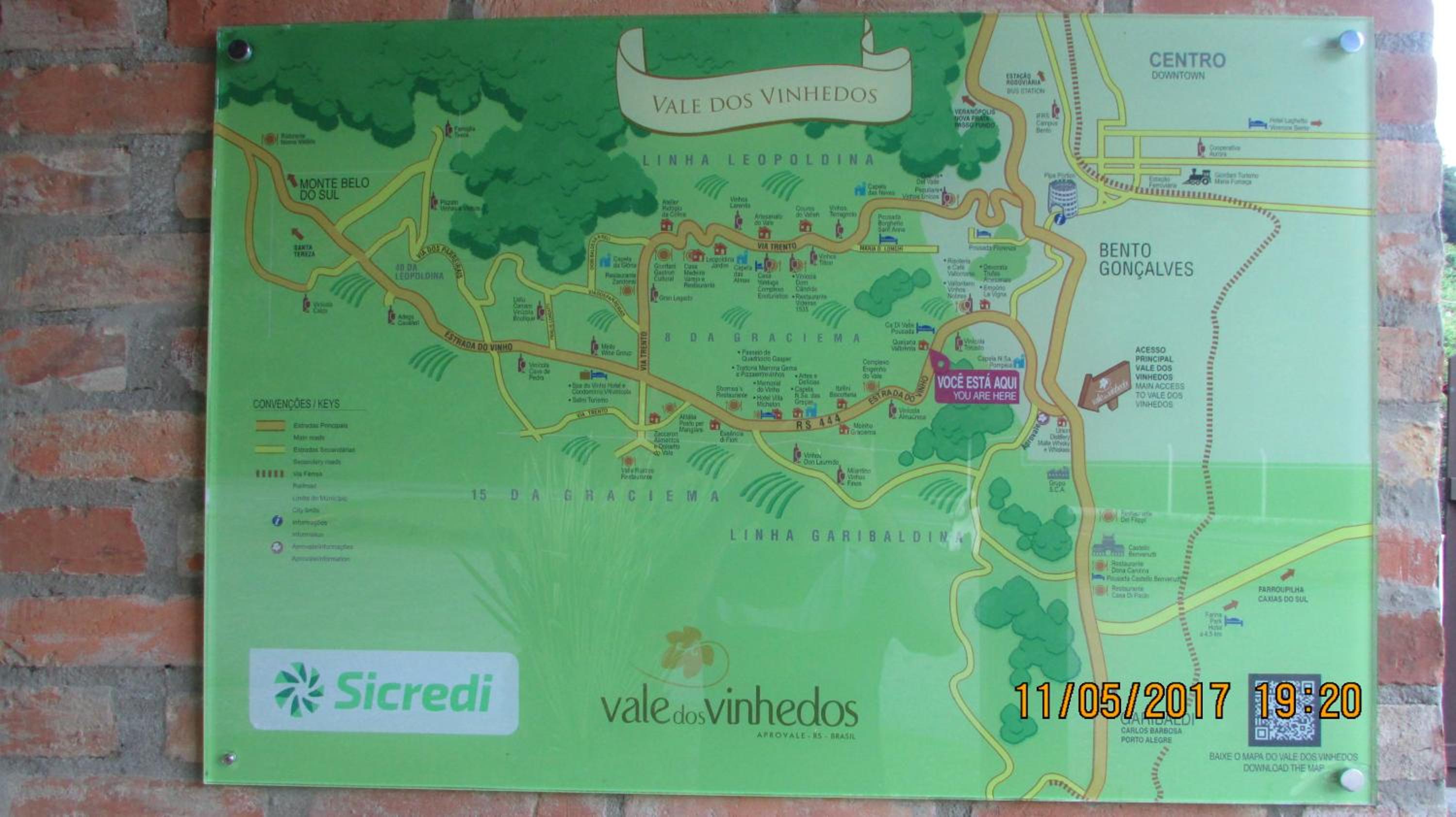 Lar do Vale - Vinhedos