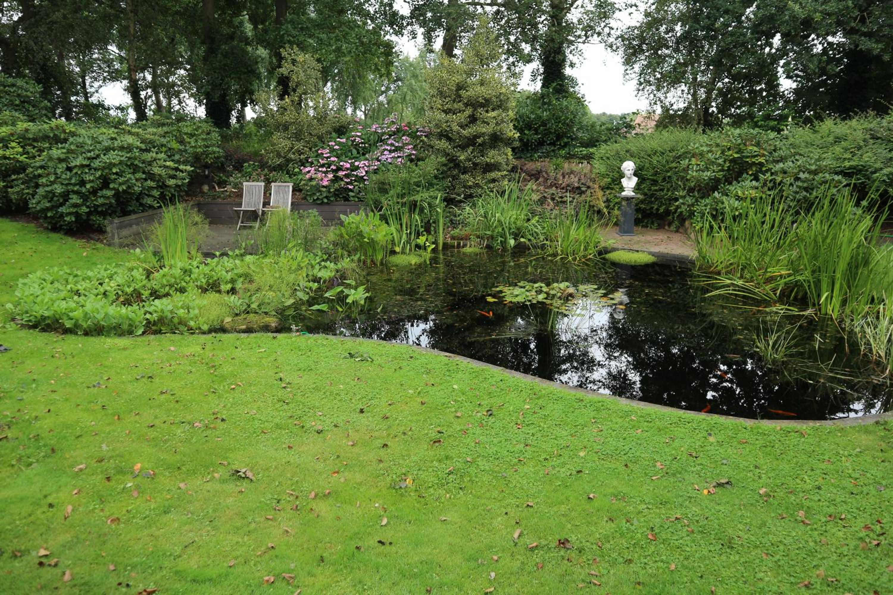 Photo 31