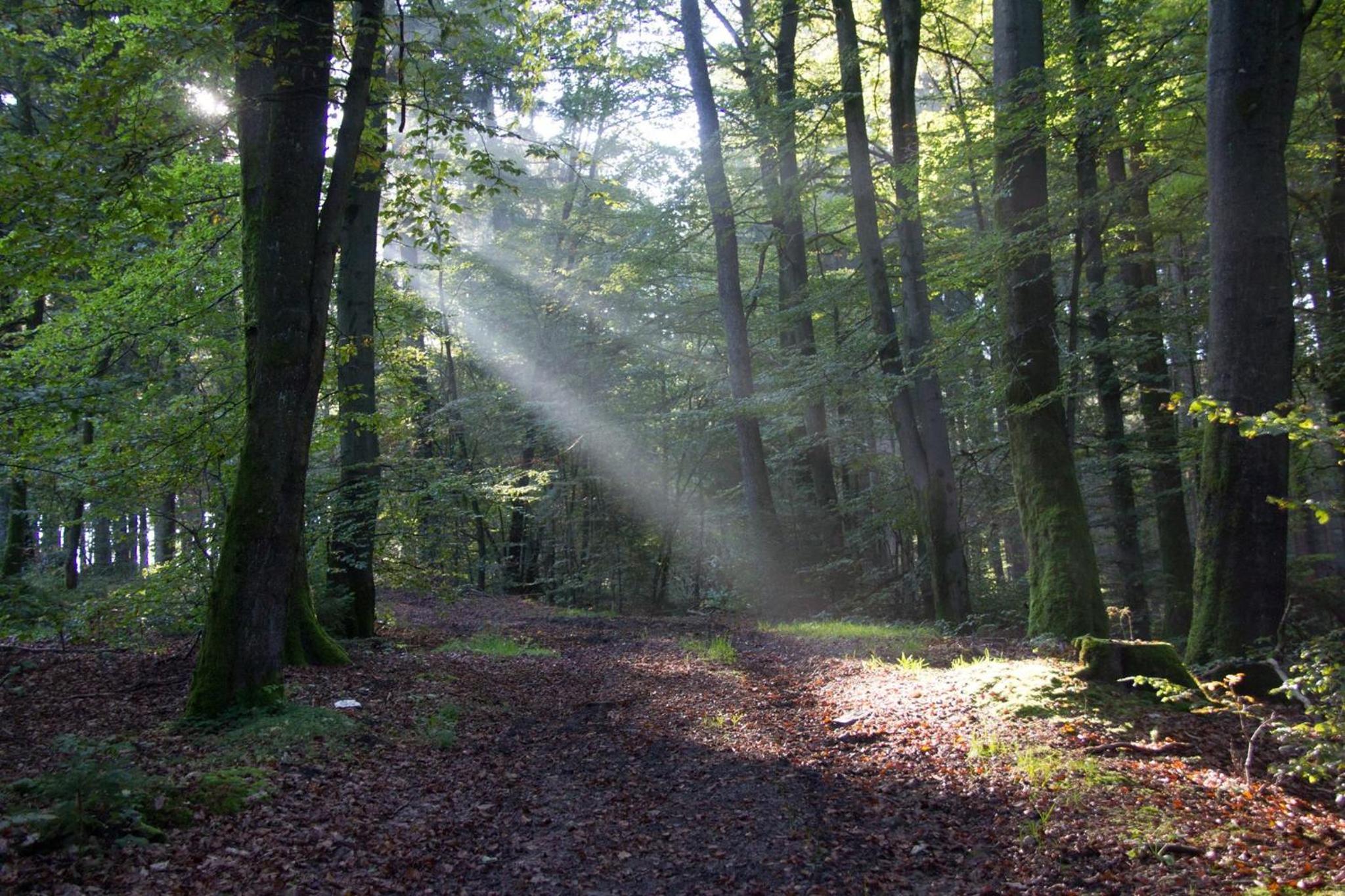 An Hütten