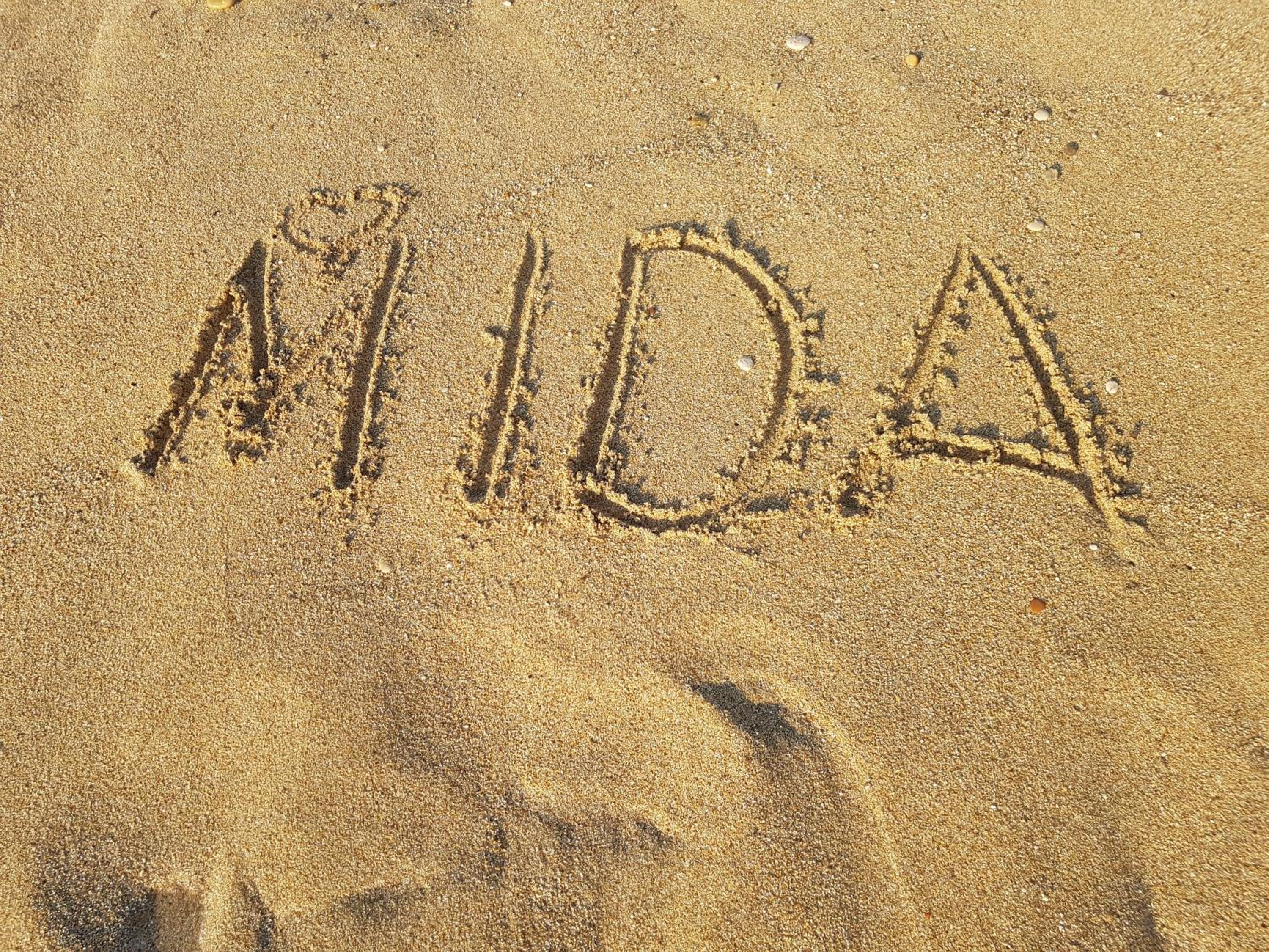 Hotel Mida