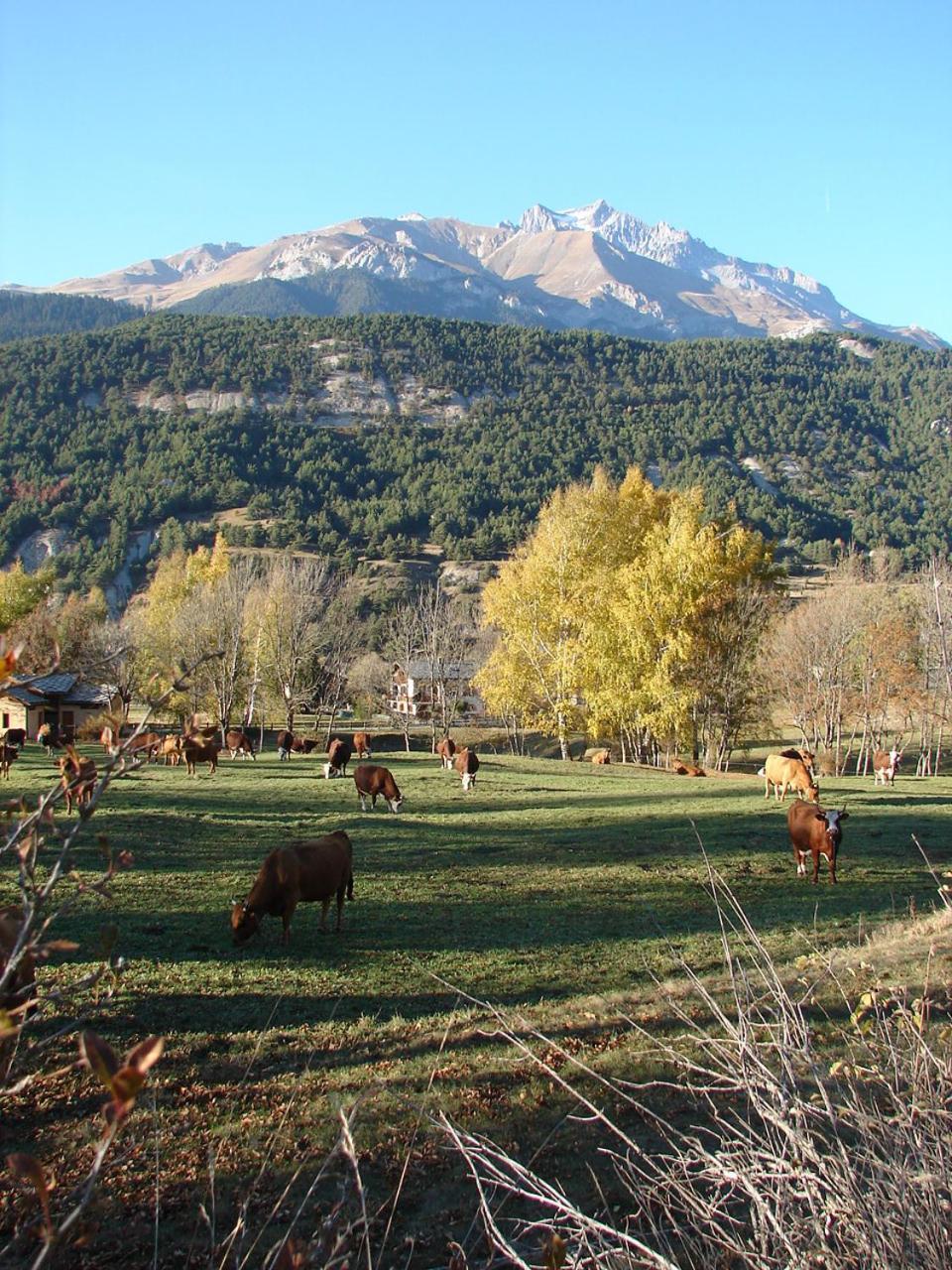 Photo 13