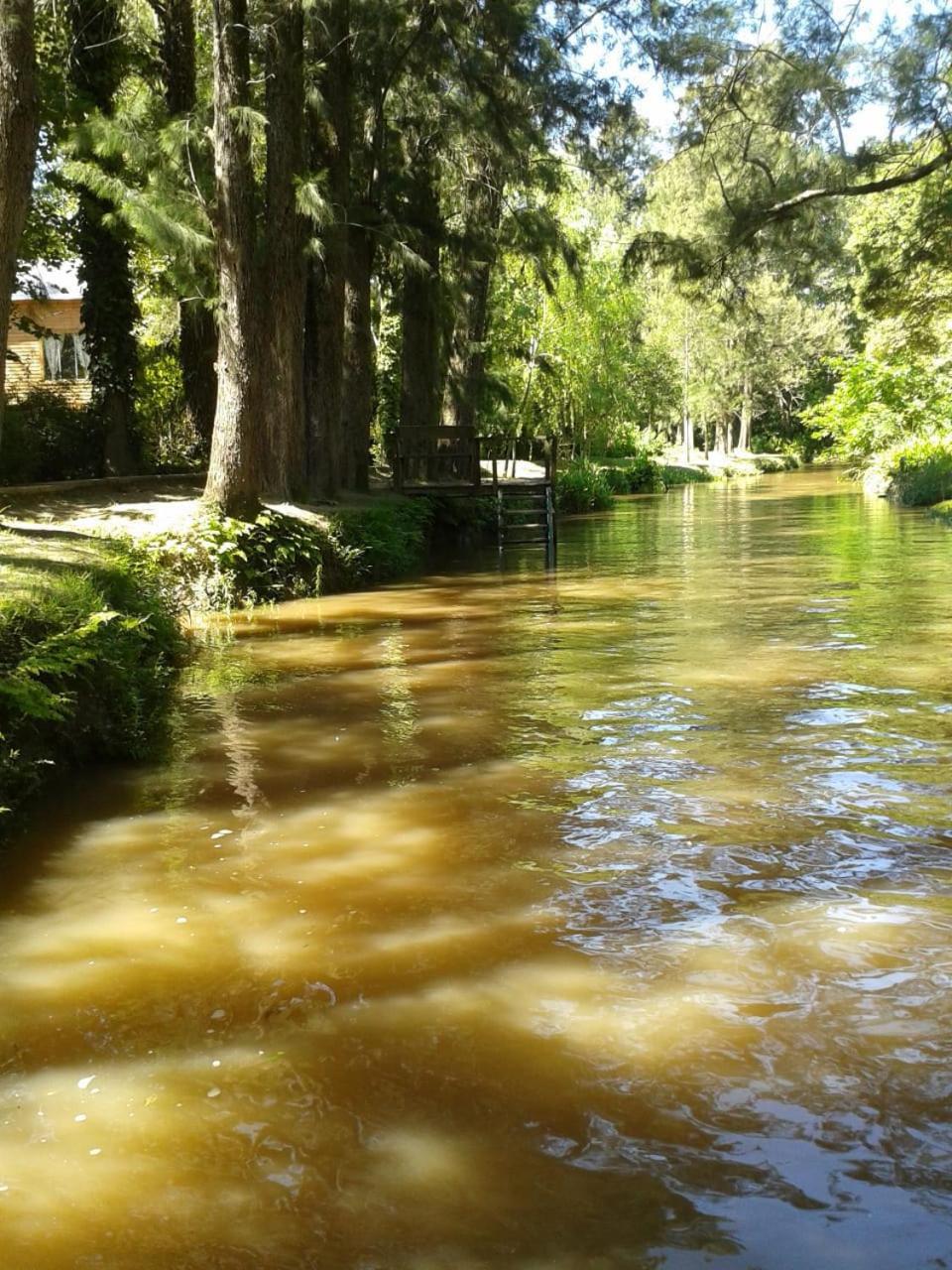 Albaricoque