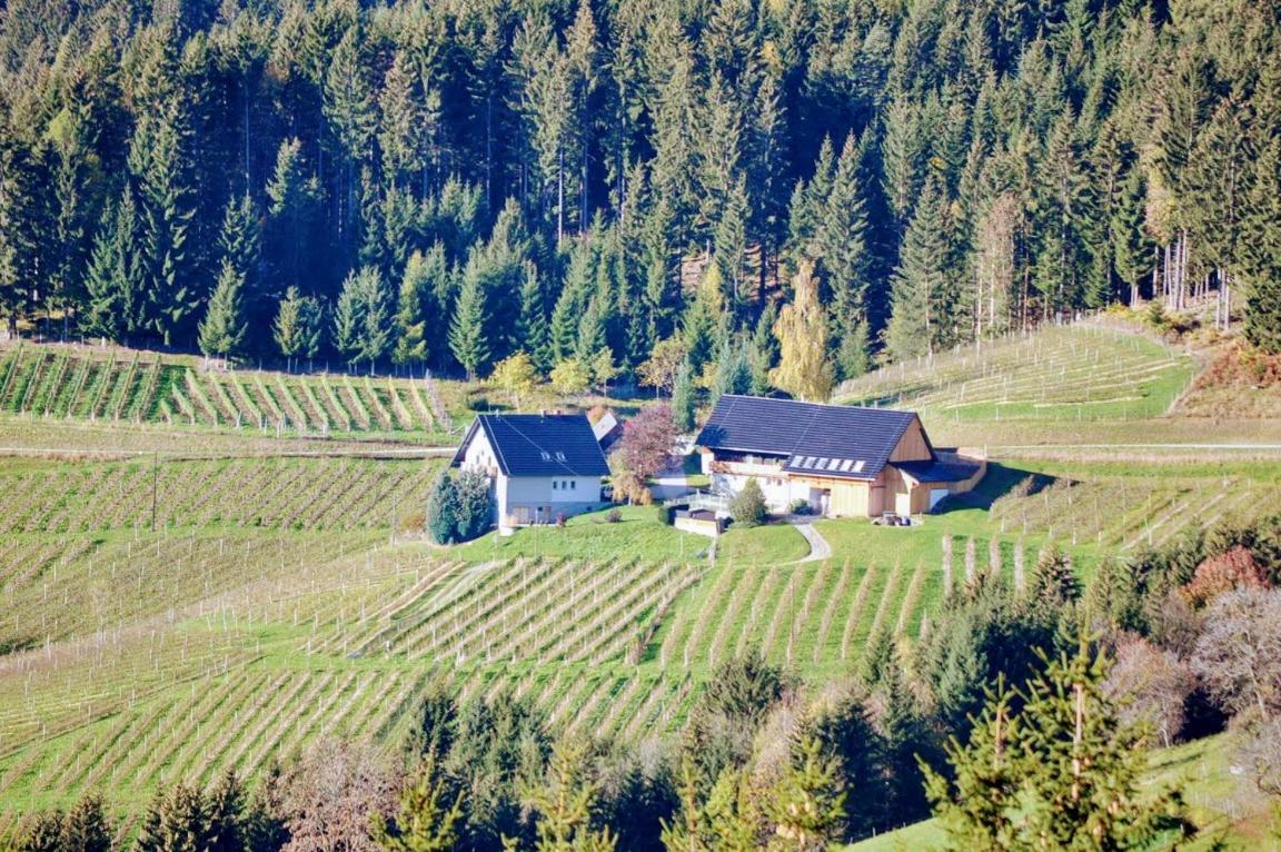 Ferienwohnung Kochs Beeren