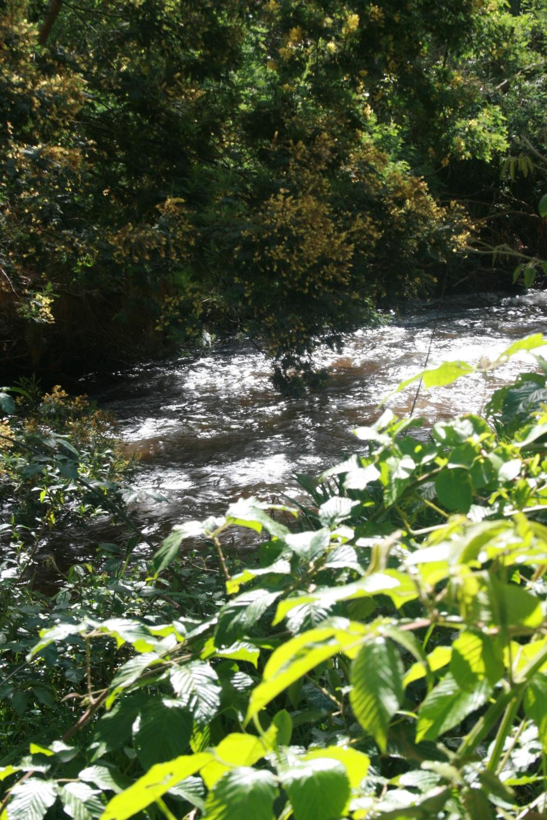 Naturaleza Muisca