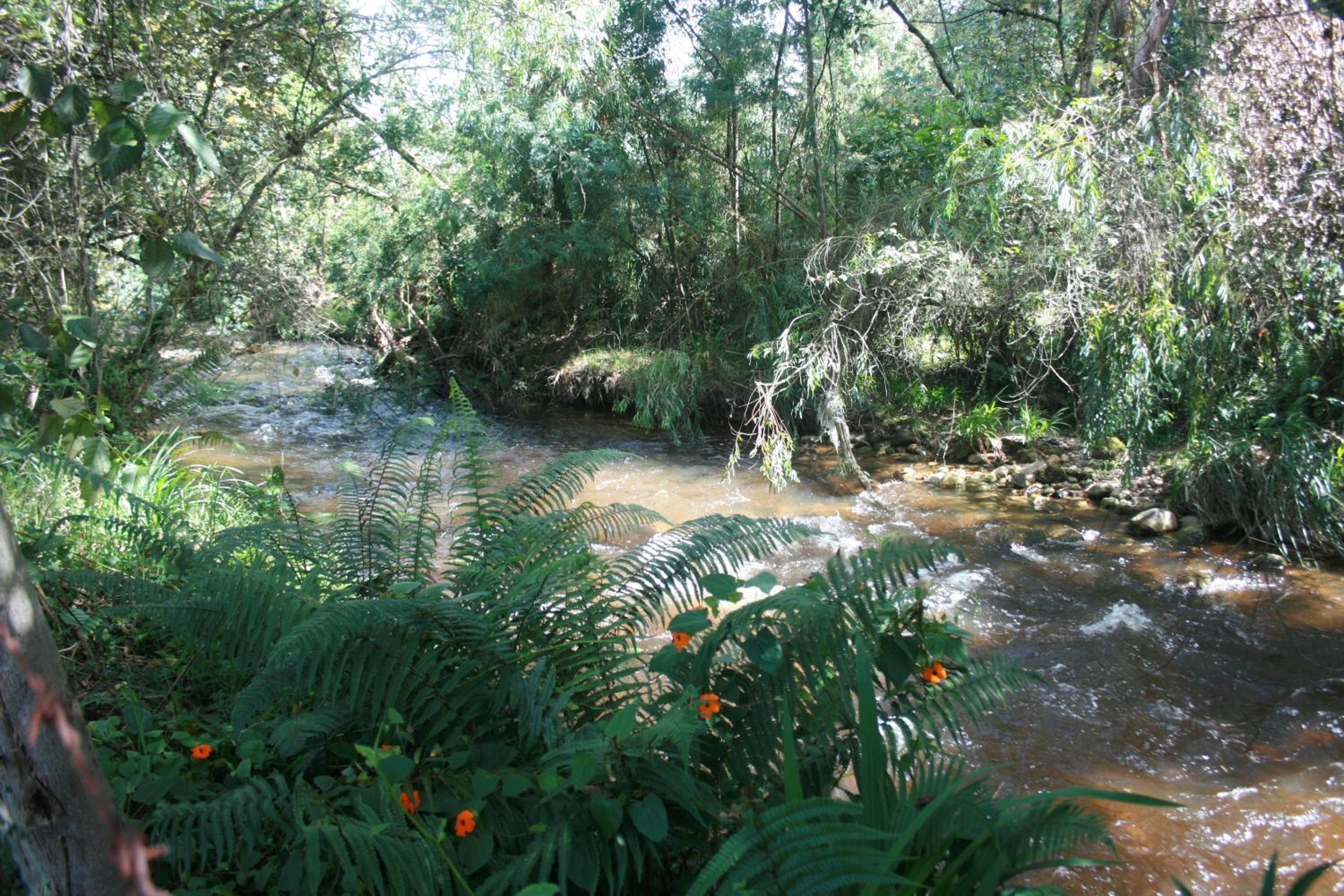 Naturaleza Muisca