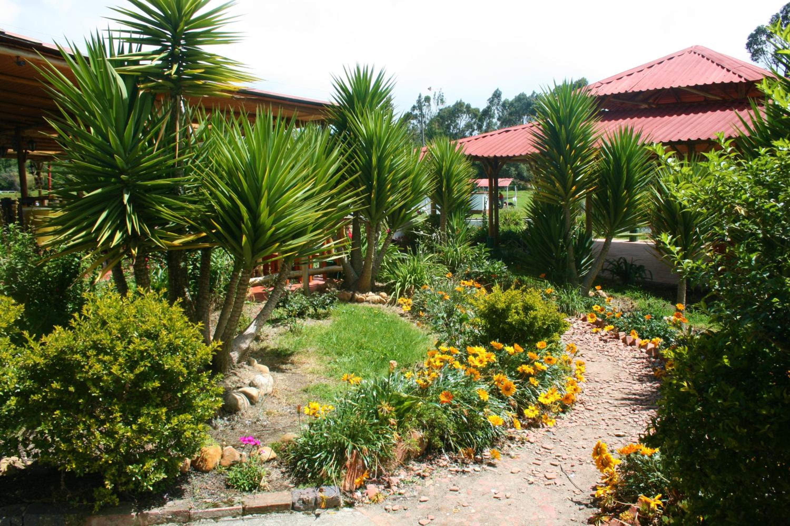 Naturaleza Muisca