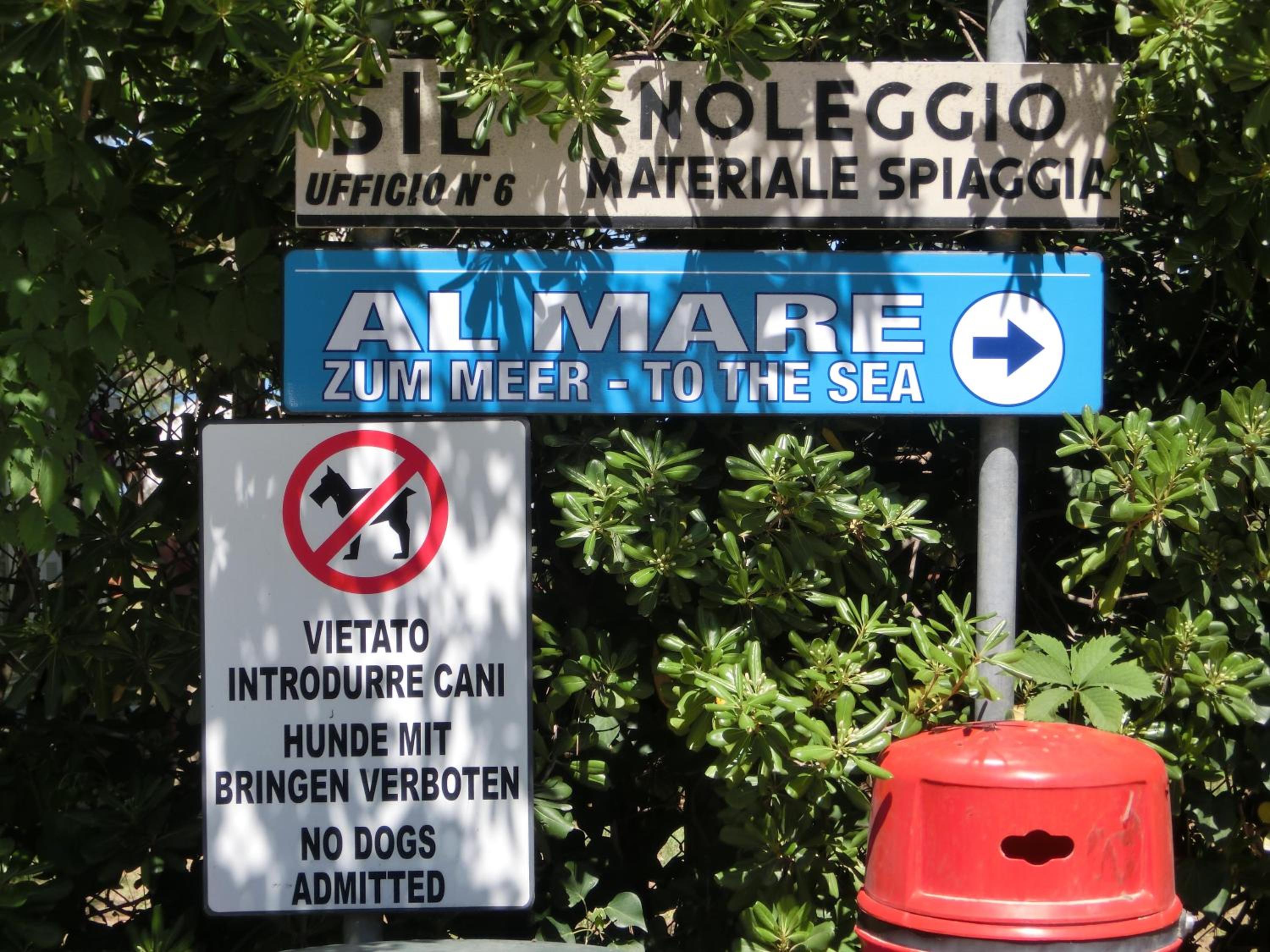 Michelangelo Beach