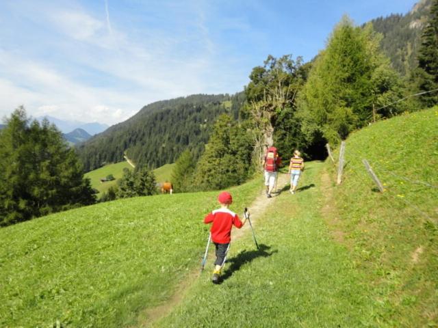 Hanslerfeld