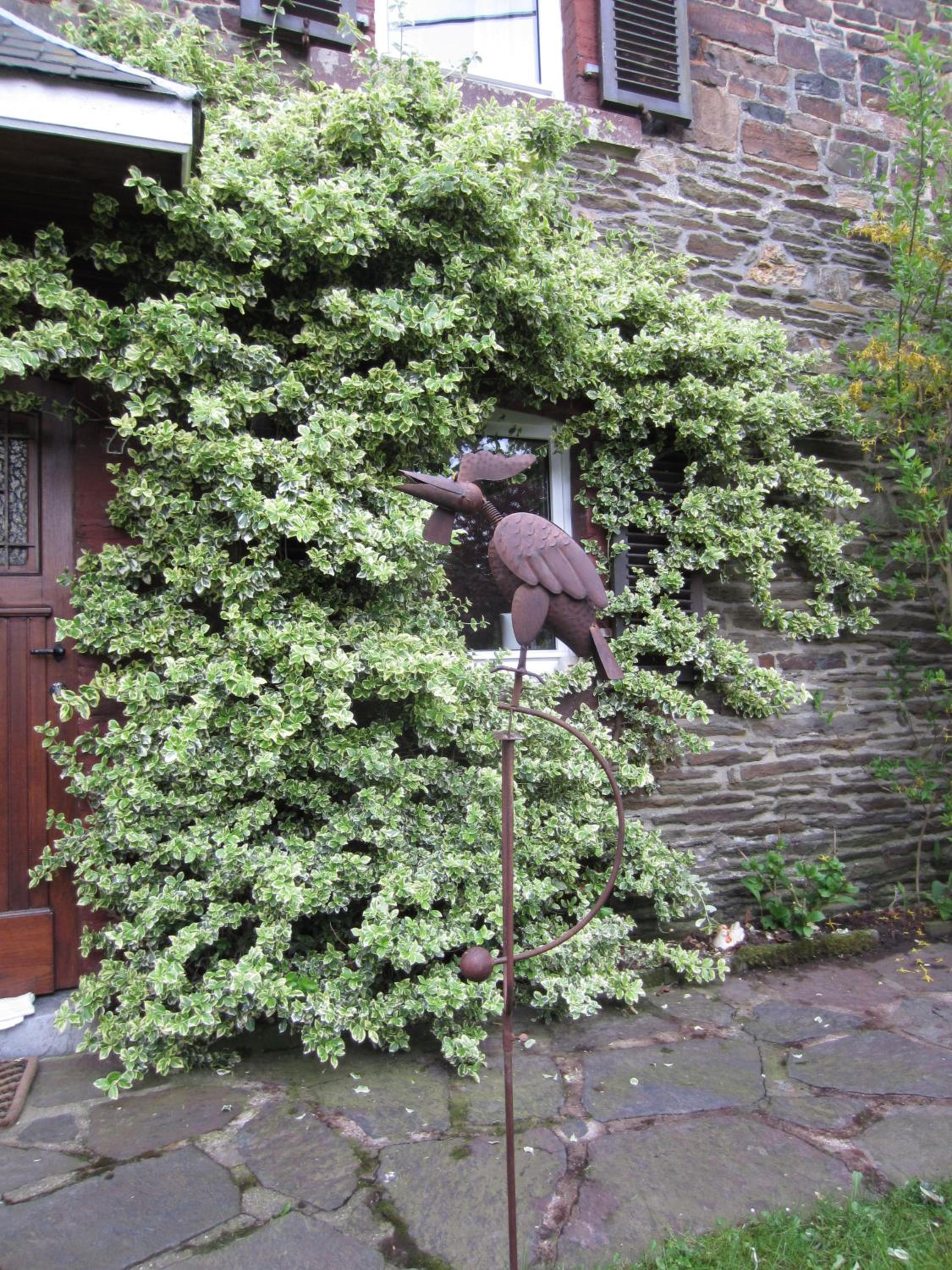 Au Jardin De Mon Père
