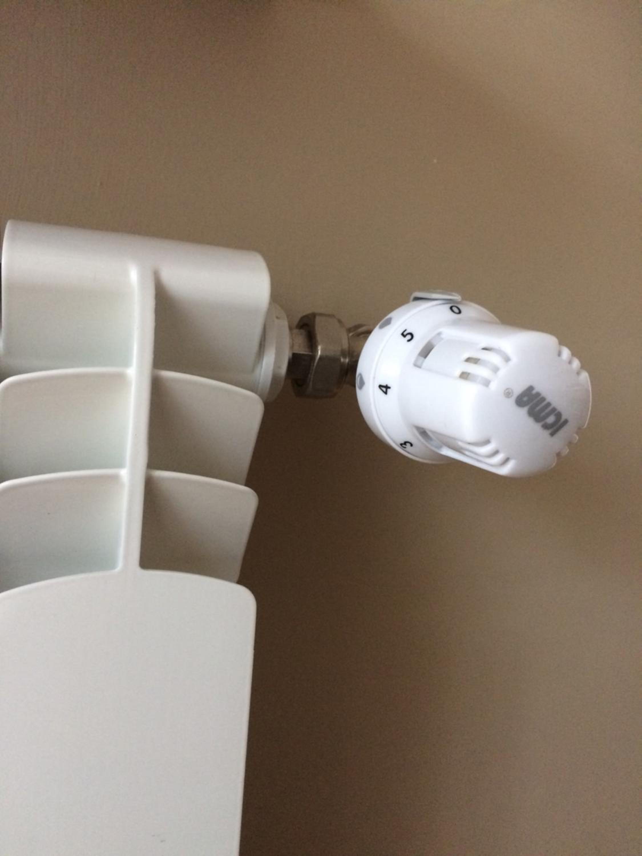 Photo 75