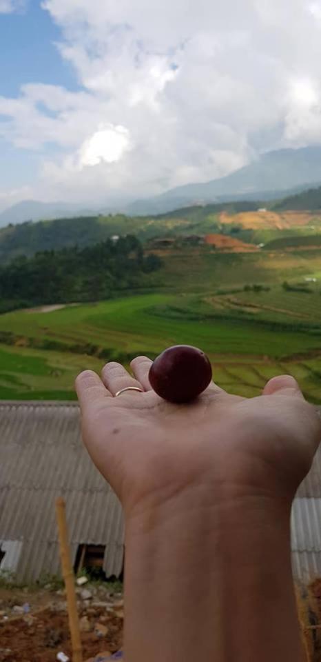 Tavan View Homestay