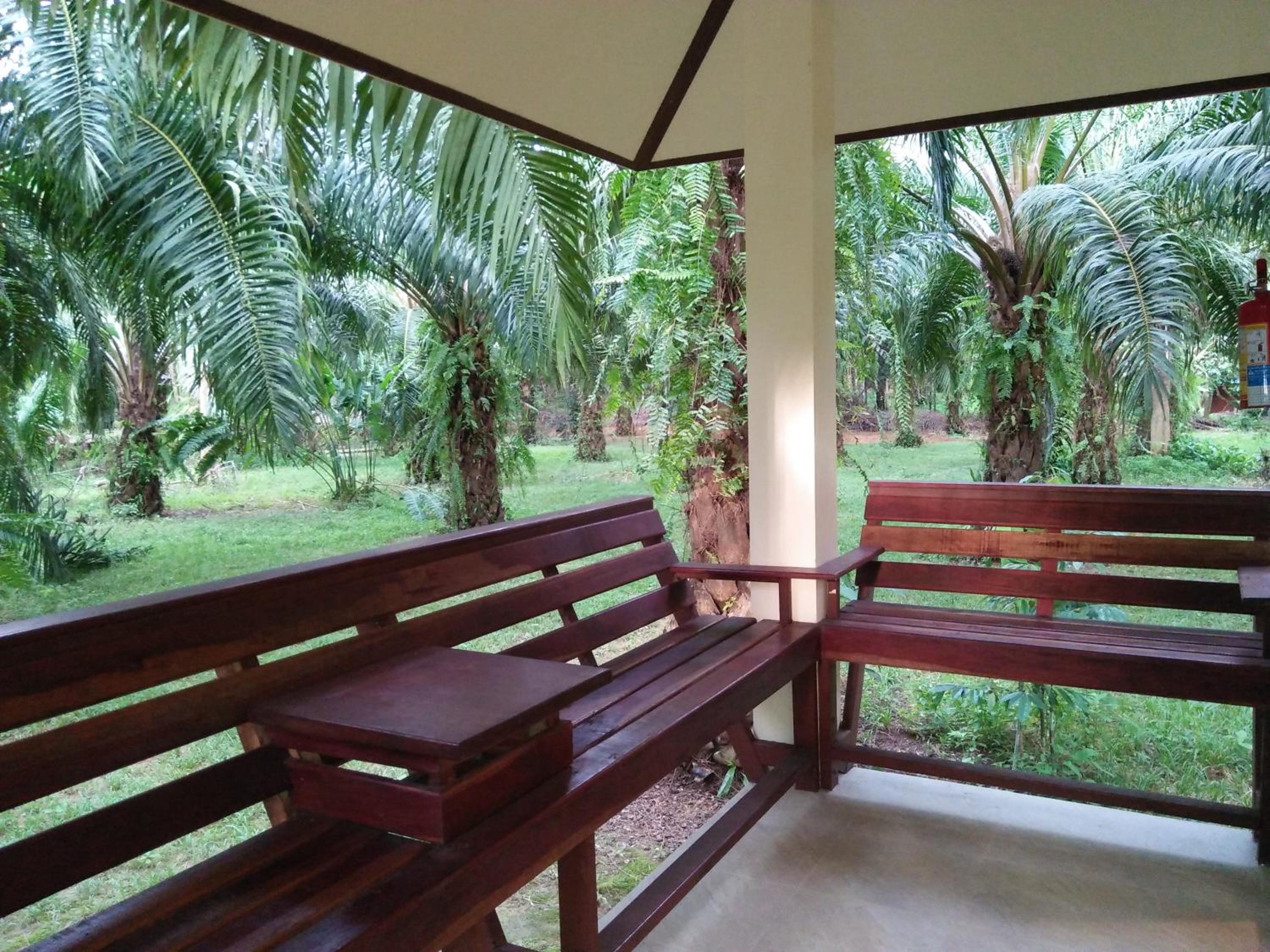 Khao Sok Palm Garden Resort