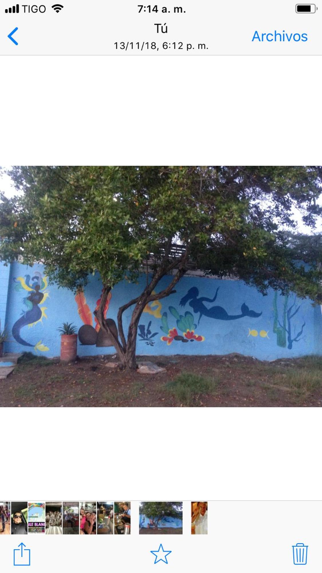 Galerazambahostal
