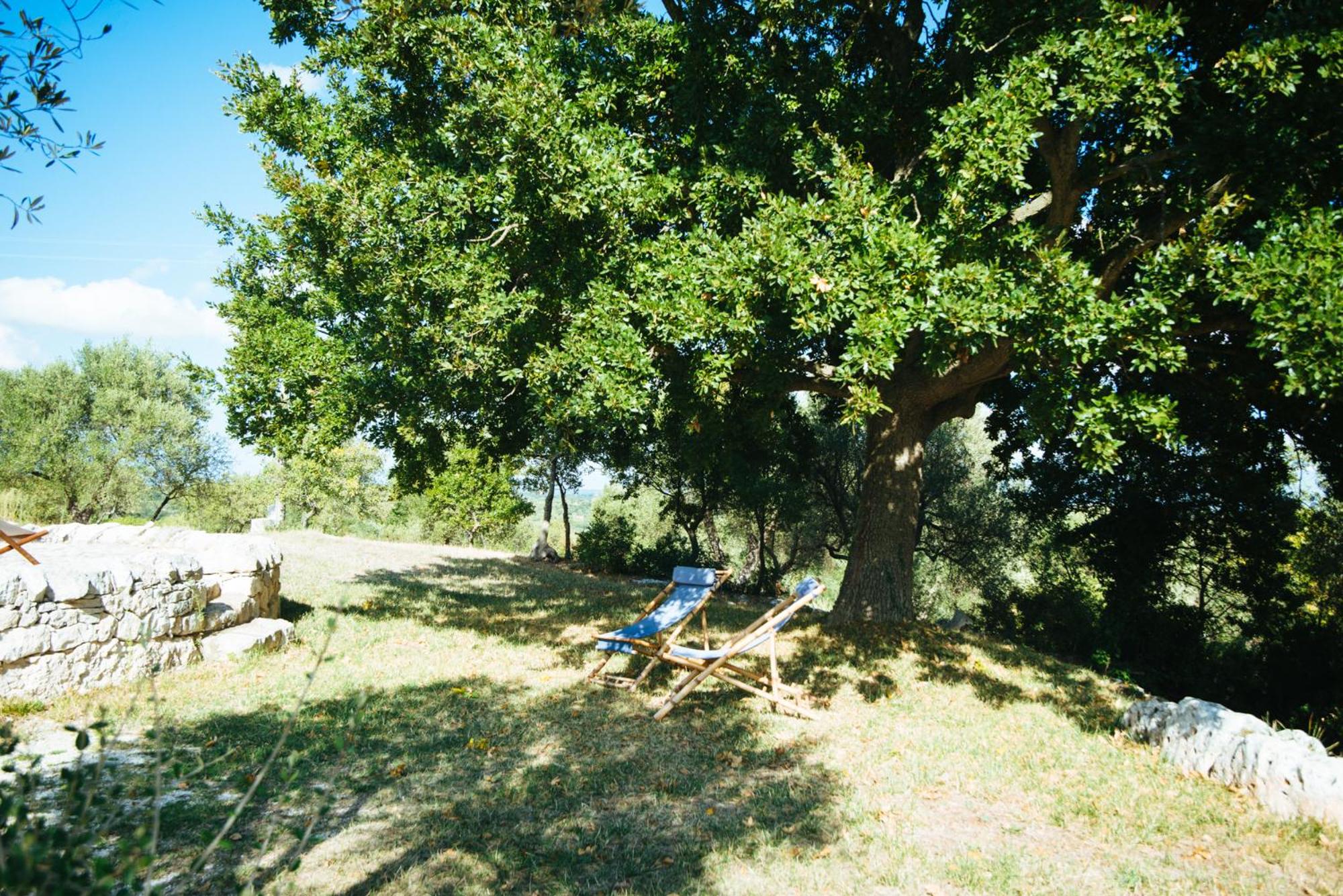 Photo 37