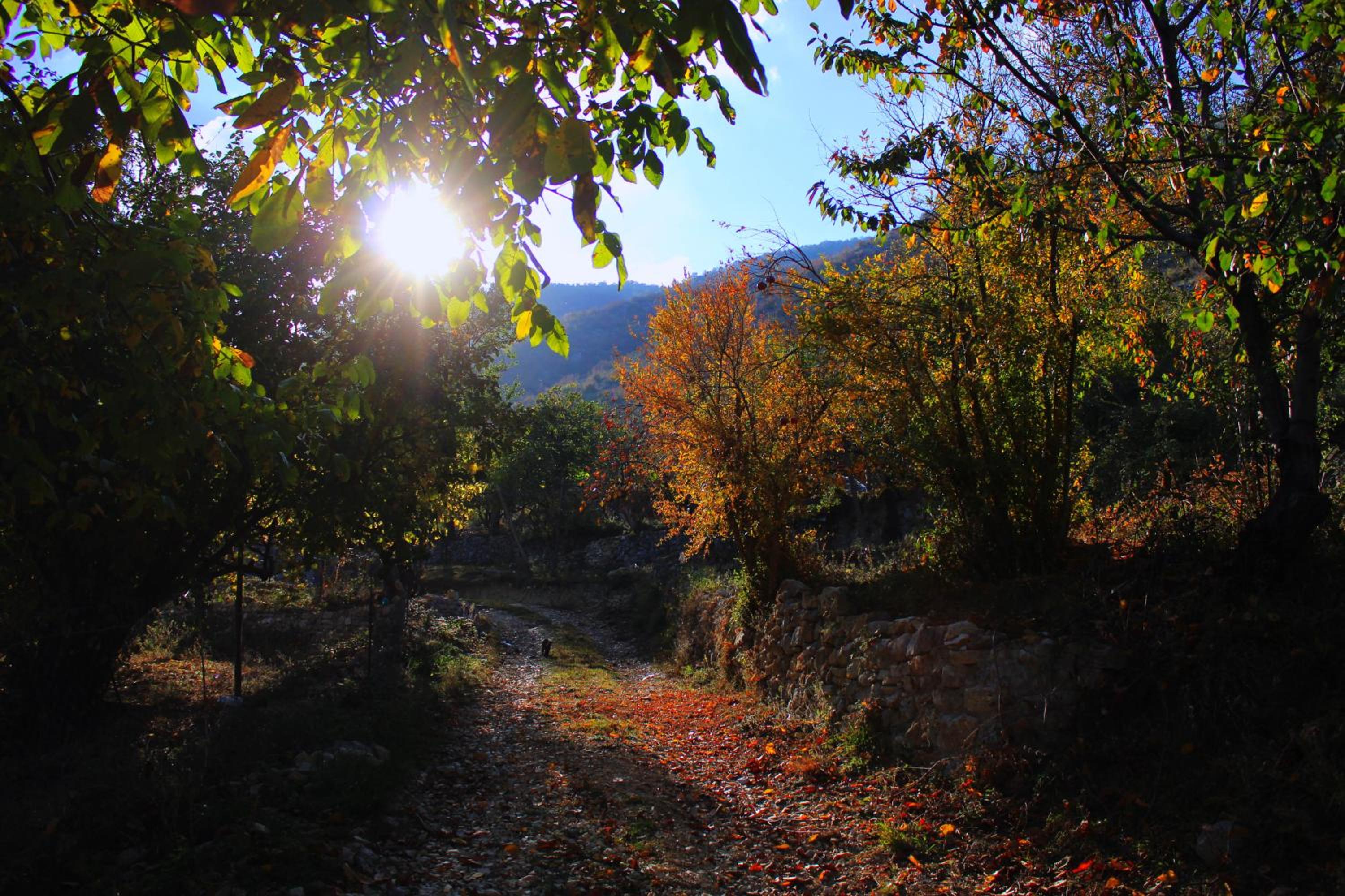 Quiet Villa Near Berat - Scenic Balcony & Garden