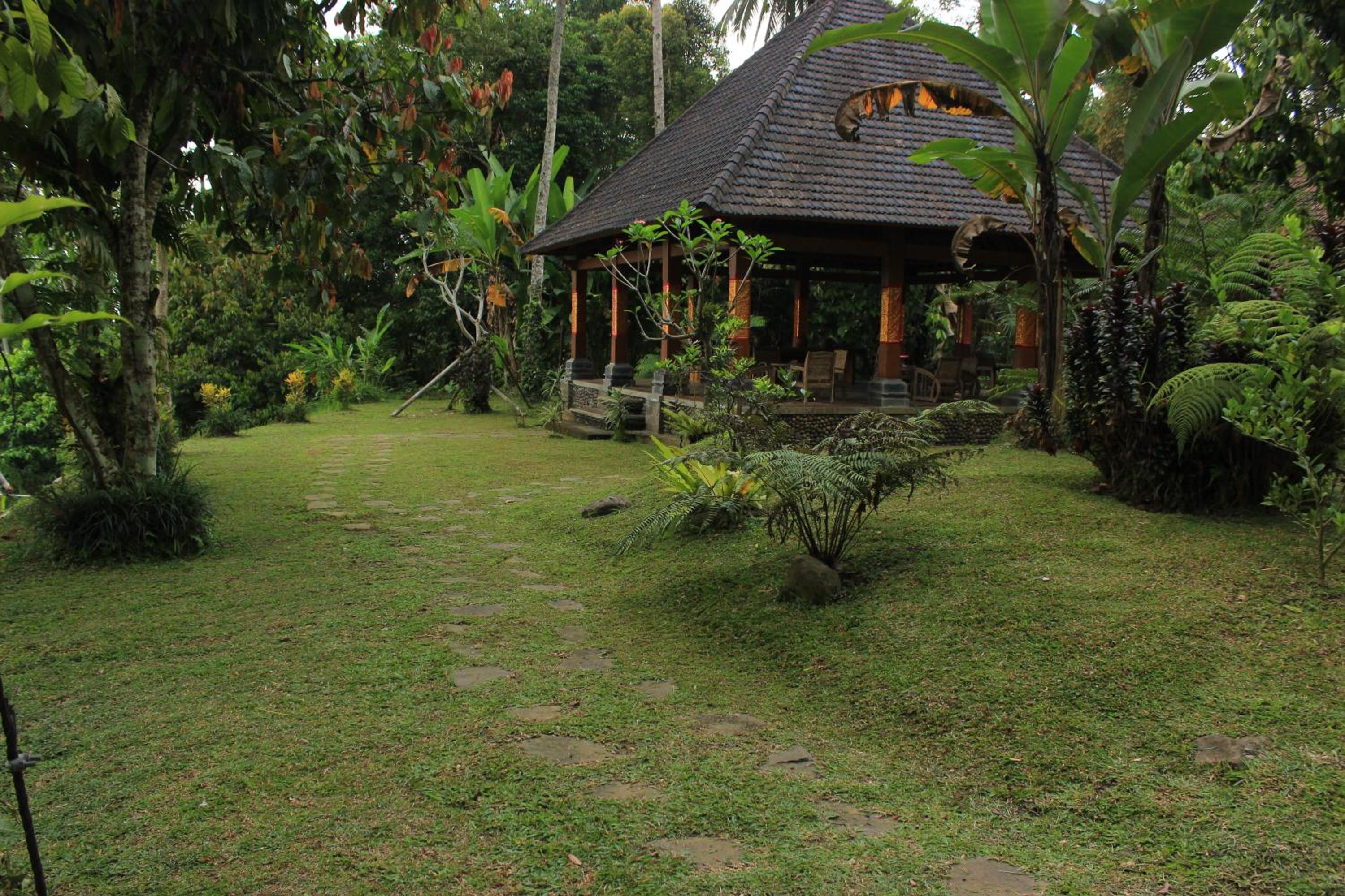Photo 28