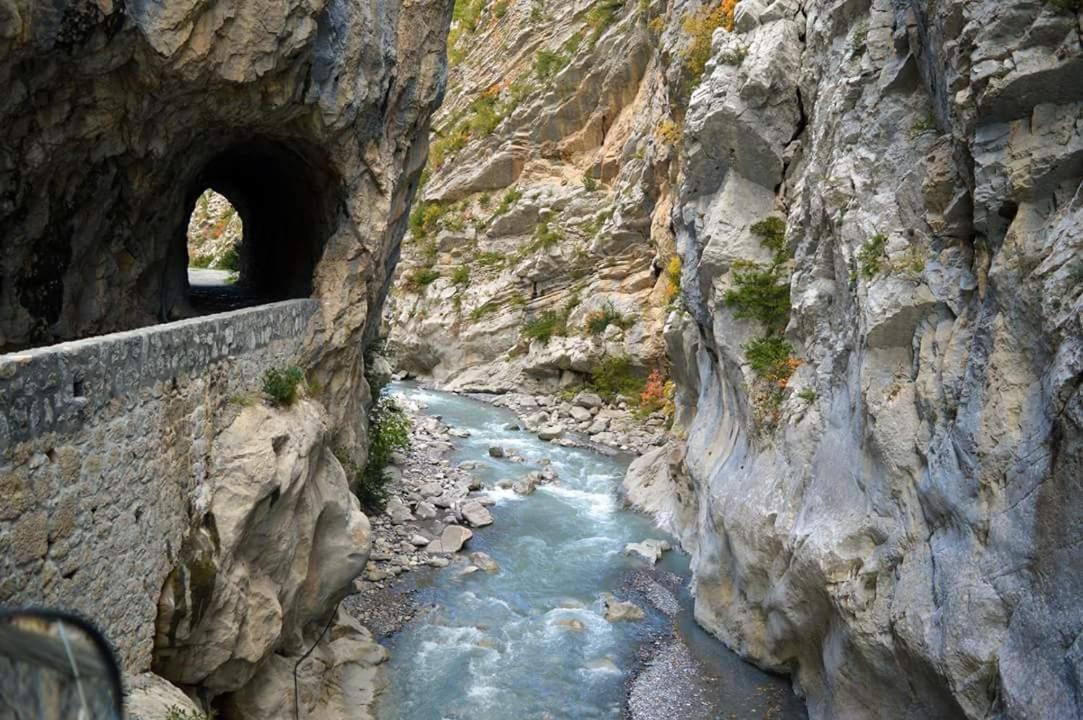Les Blanches Provençales