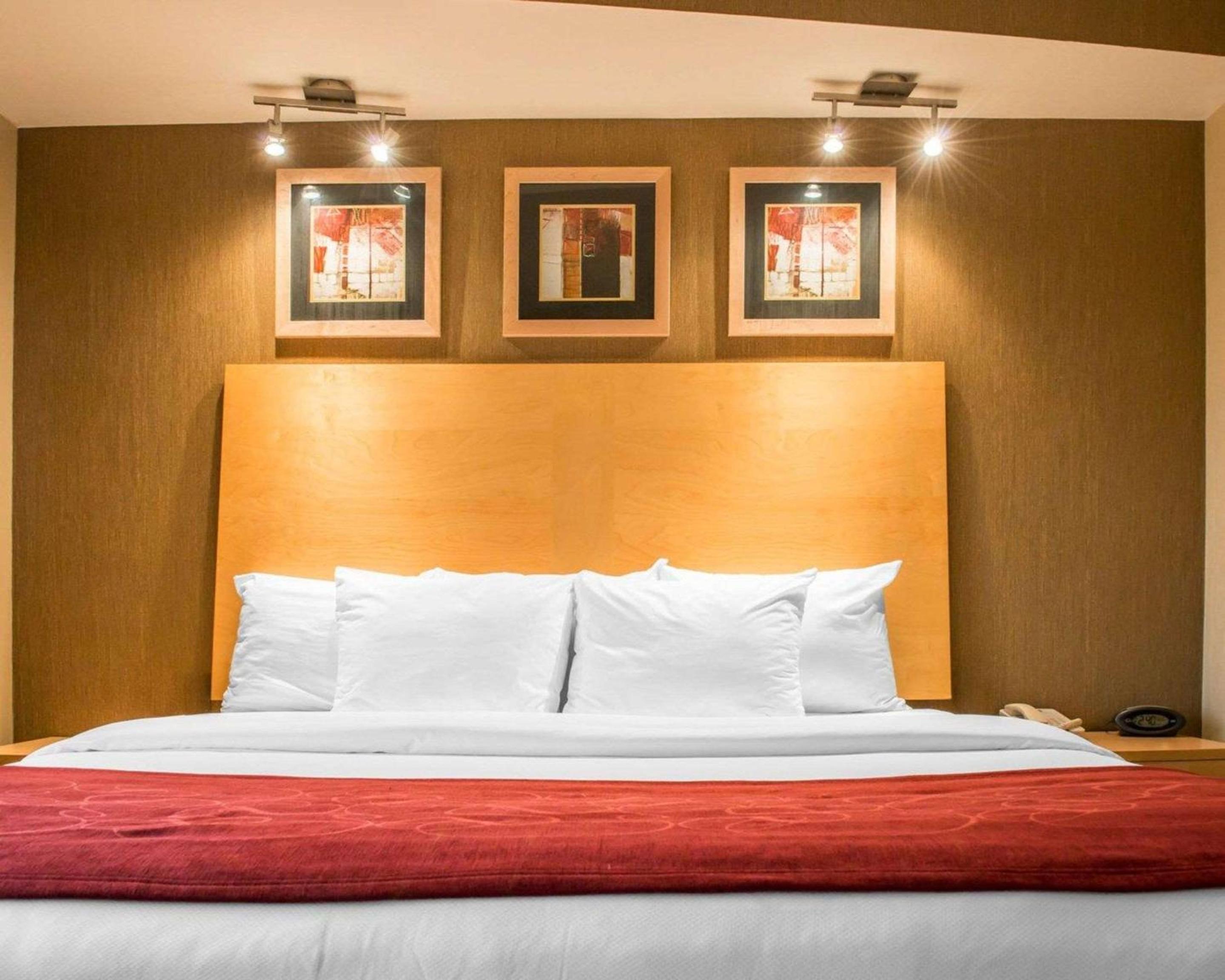 Comfort Suites - Property Image 31