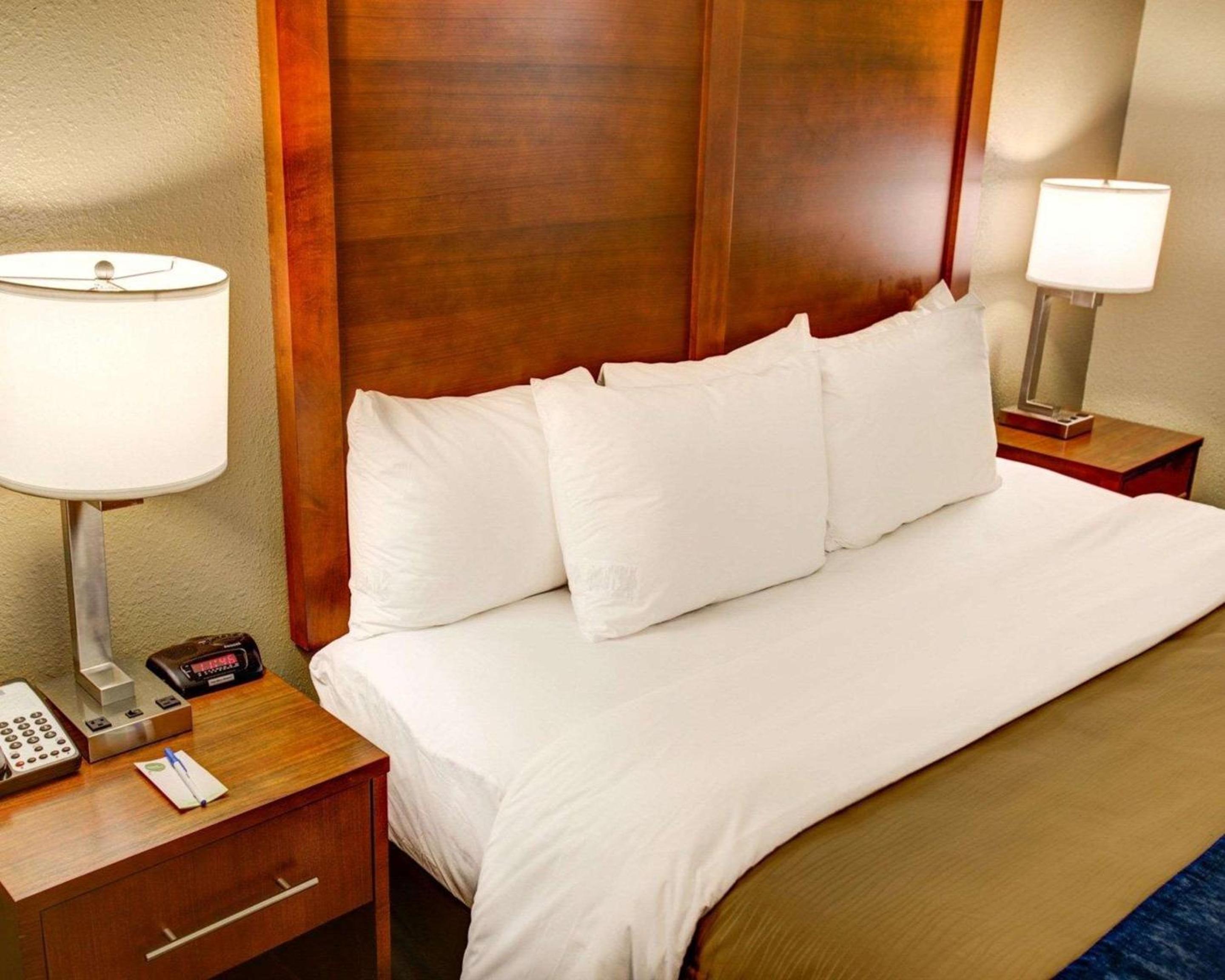 Comfort Inn Conference Center - Property Image 39