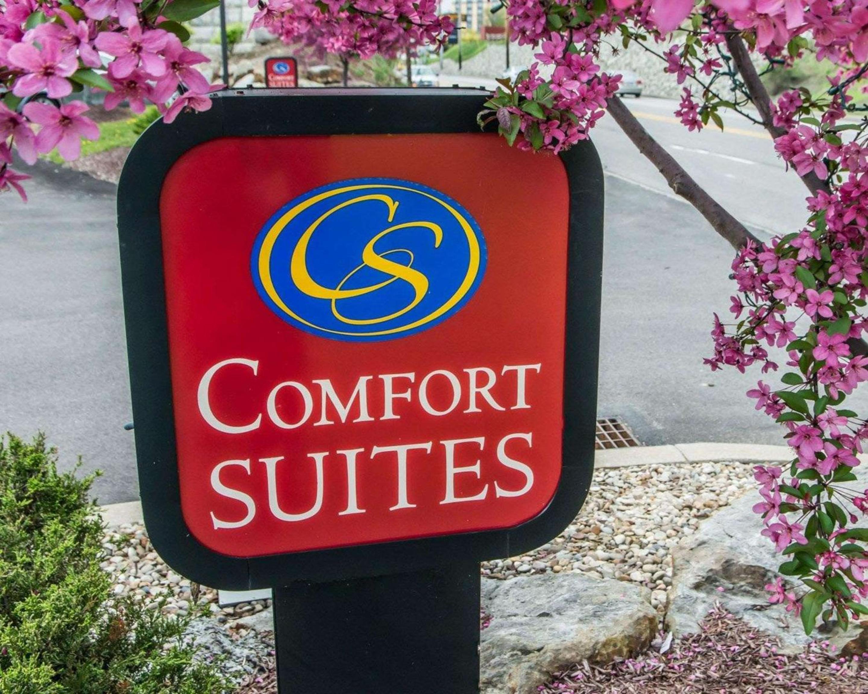 Comfort Suites - Property Image 18