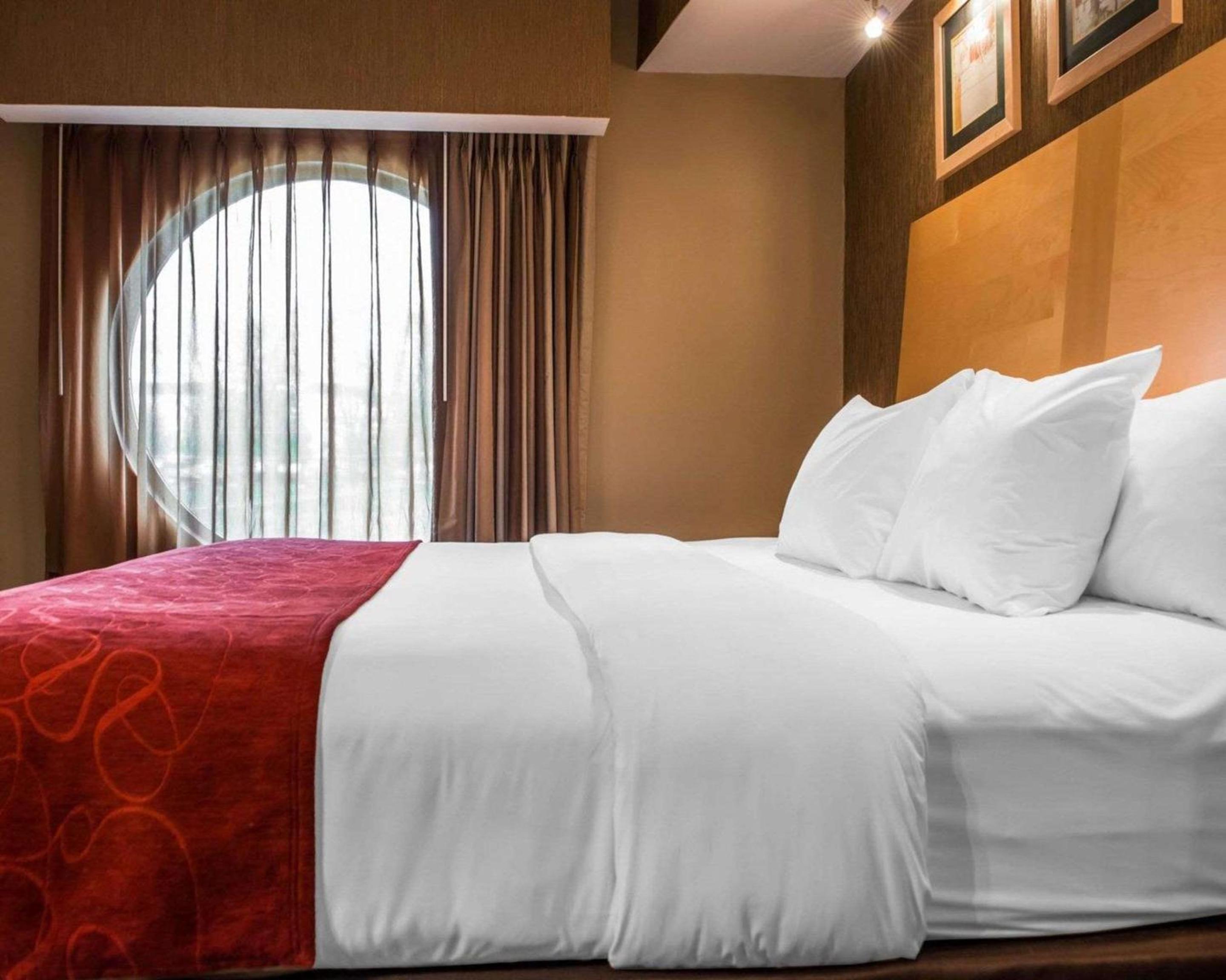 Comfort Suites - Property Image 13