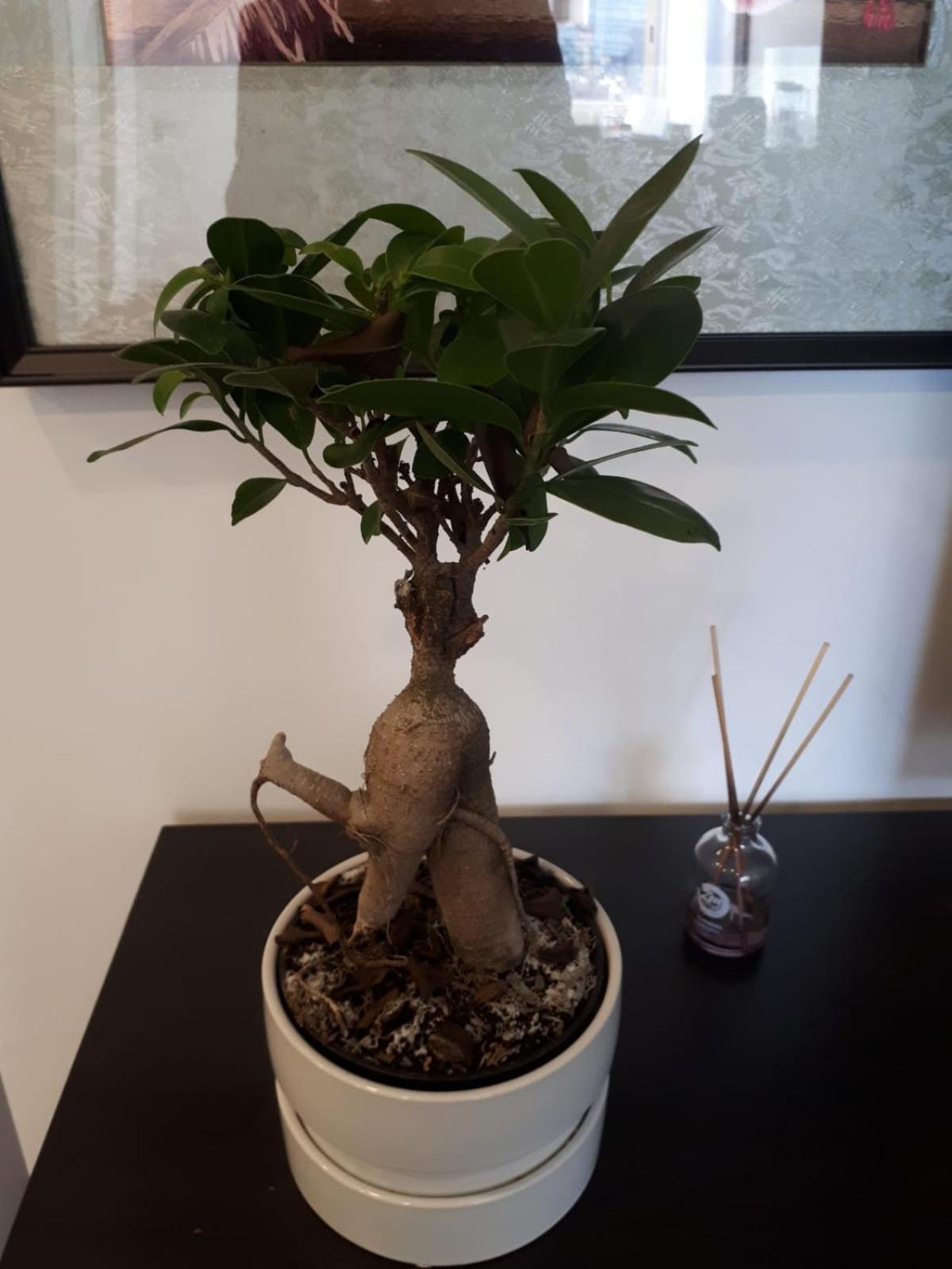 Photo 35