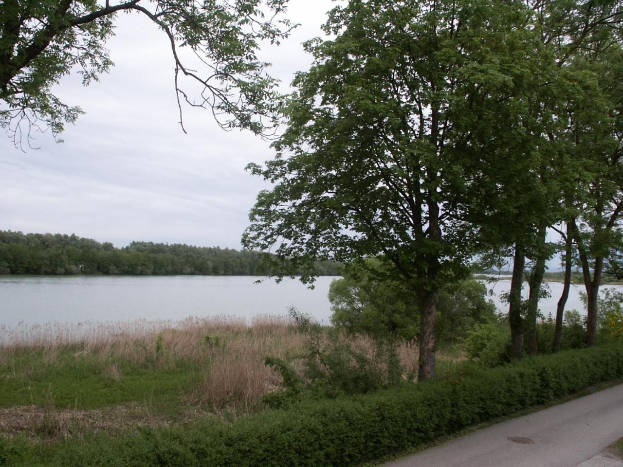 Photo 41