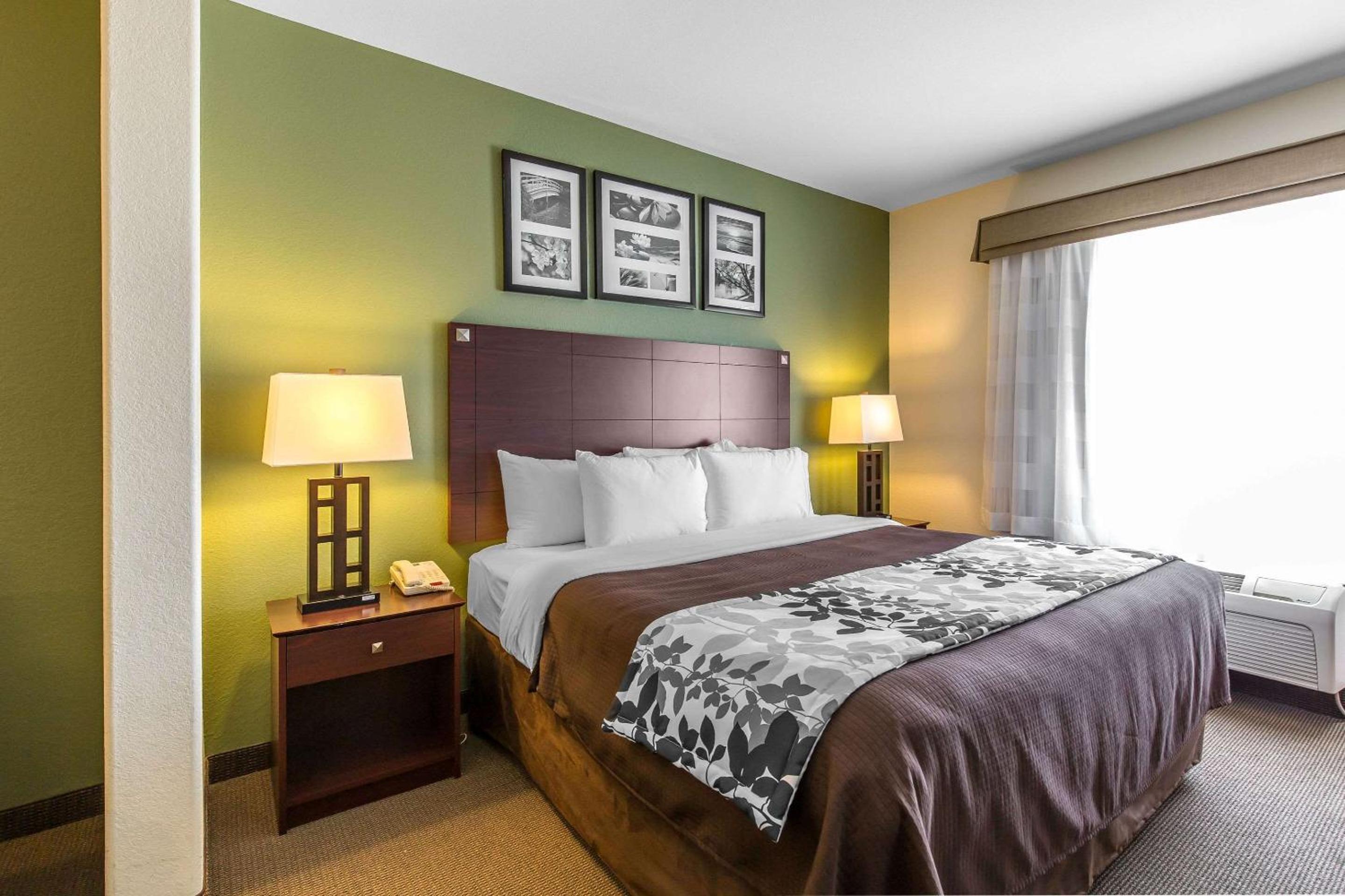 Sleep Inn Suites Bush Intercontinental - IAH East - Property Image 2