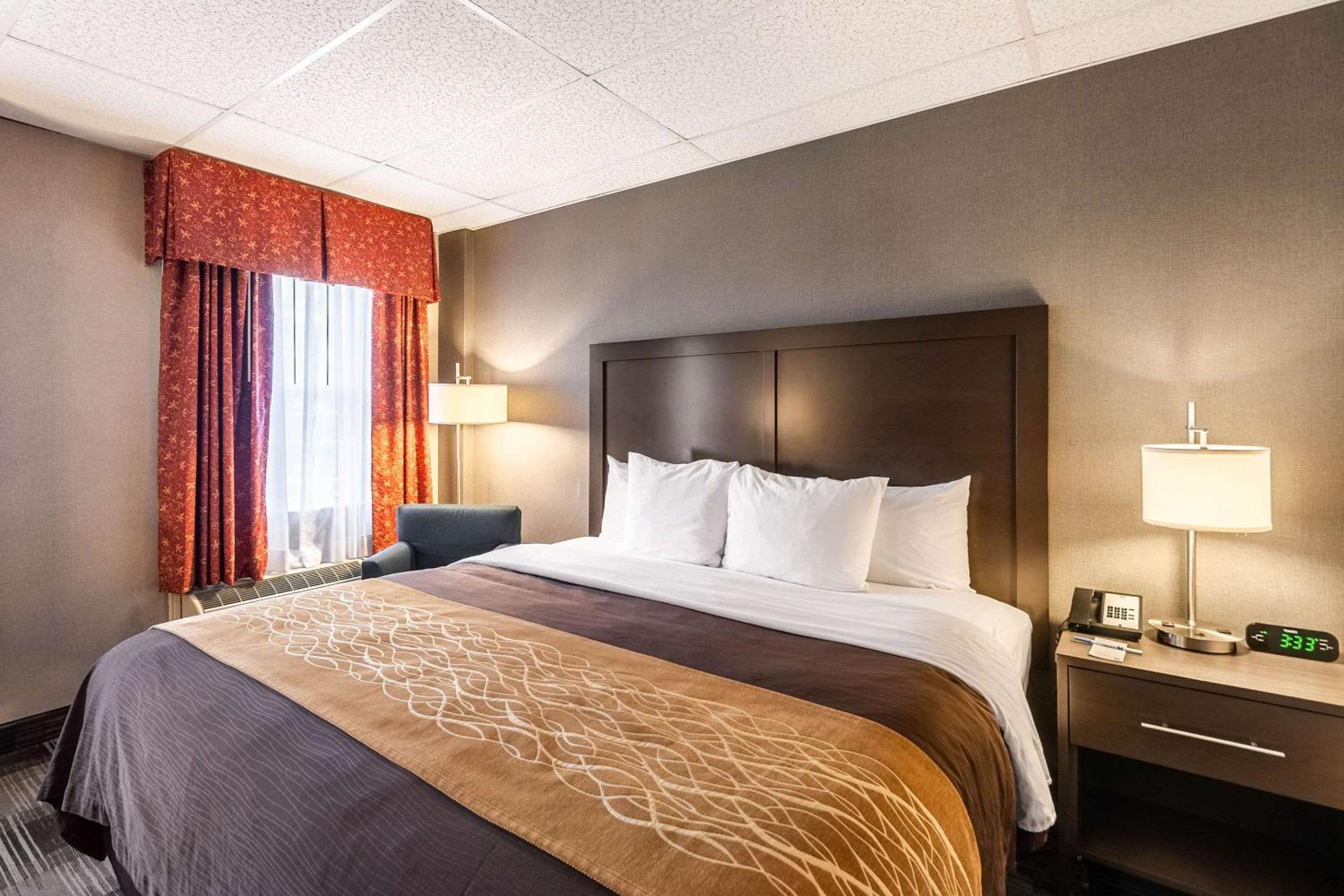 Arlington Vacations - Comfort Inn Ballston - Property Image 8