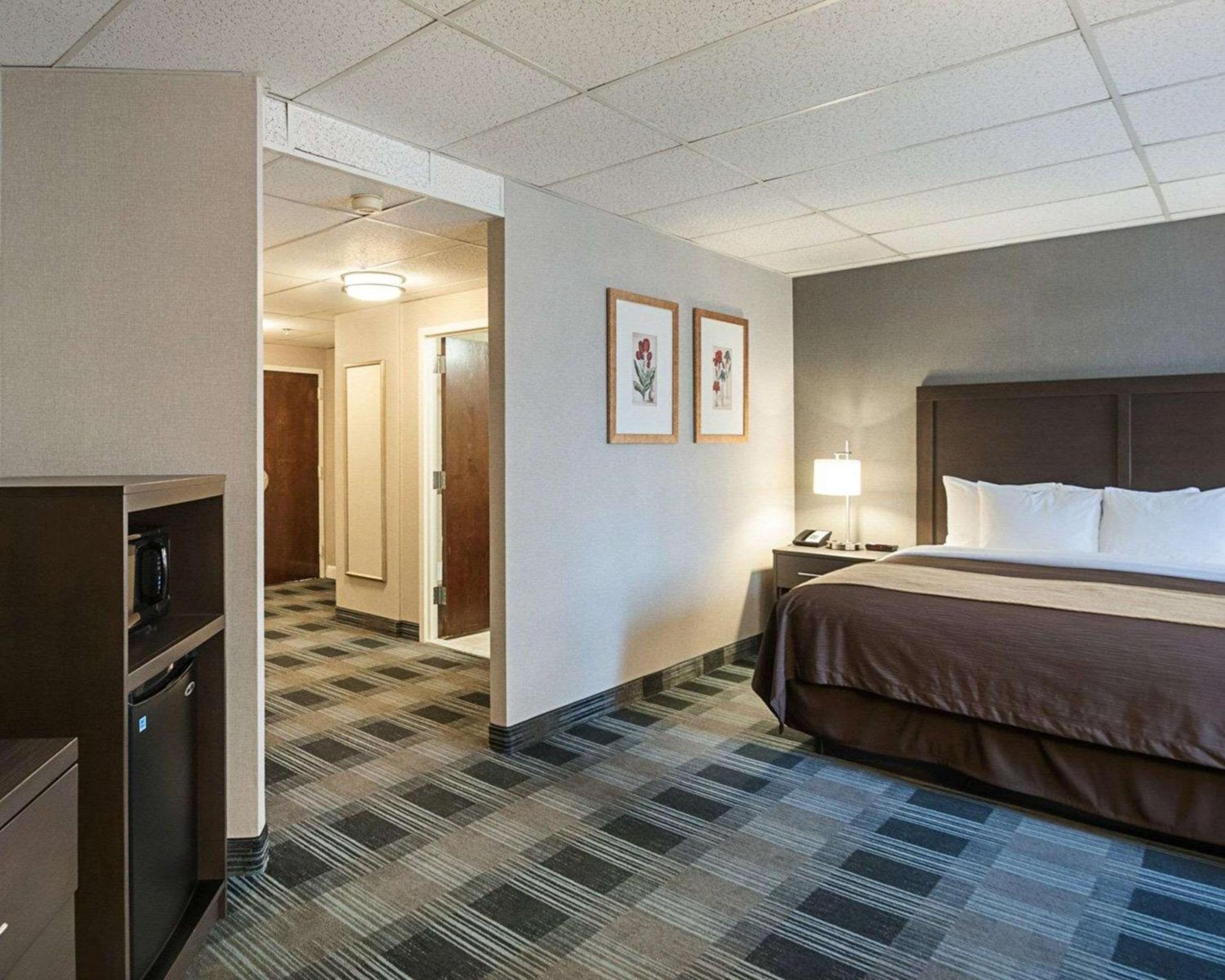 Arlington Vacations - Comfort Inn Ballston - Property Image 45