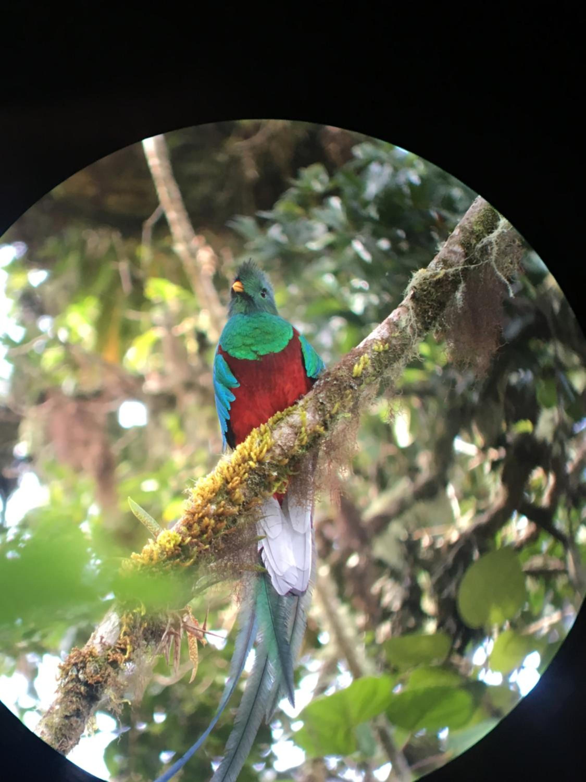 Hotel Mirador de Quetzales