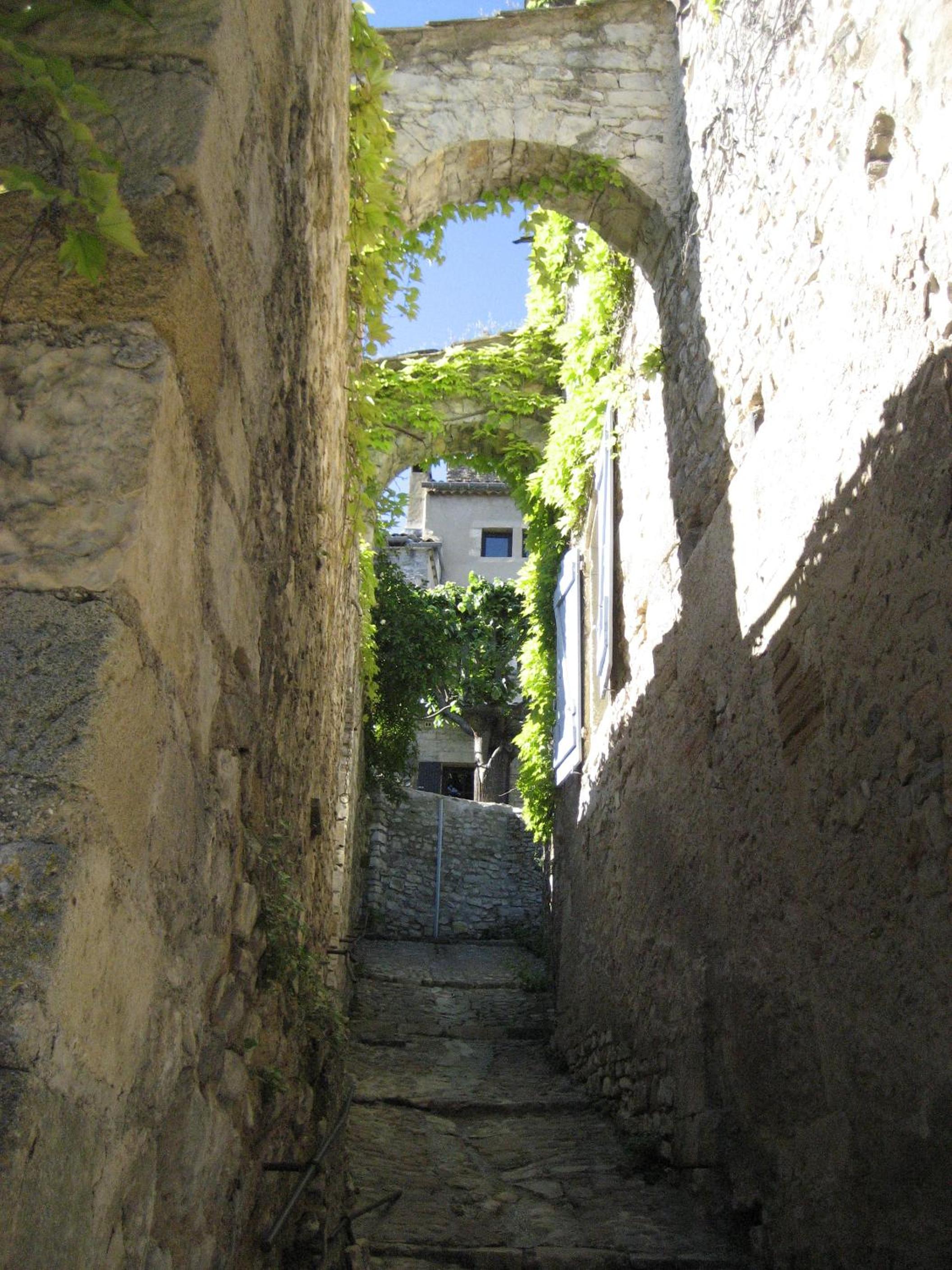 Photo 41