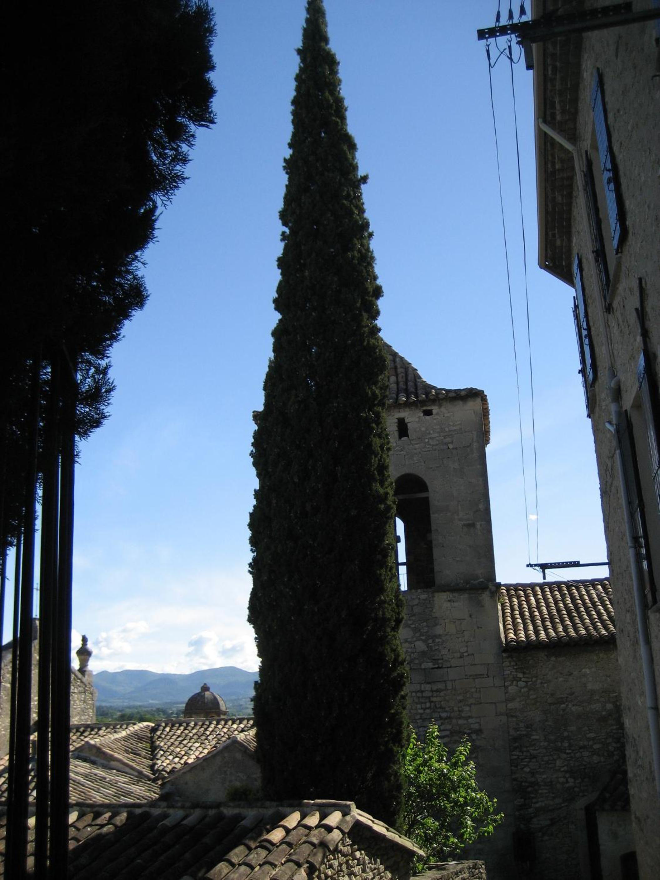 Photo 42