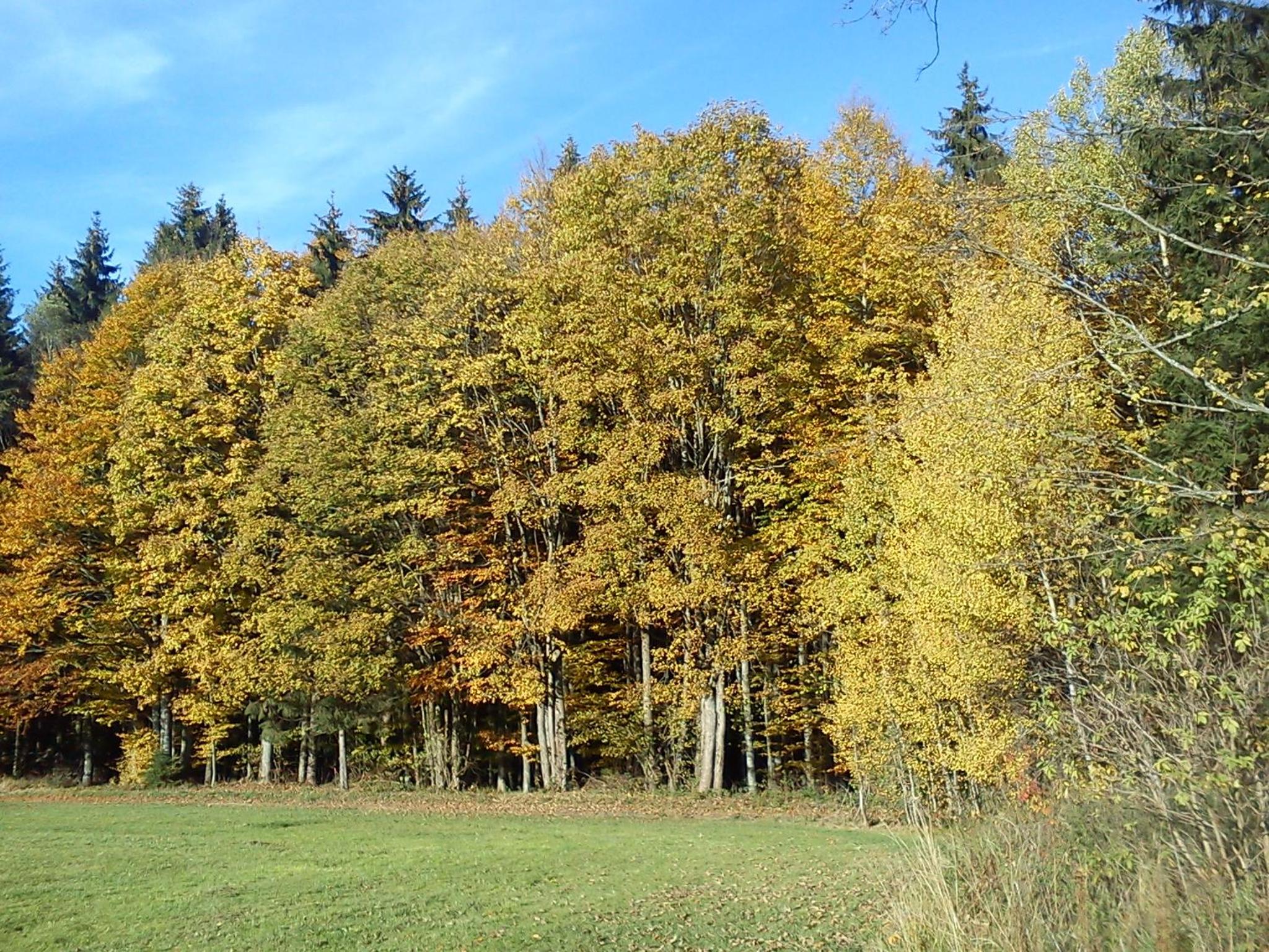 Ferienwohnungen Grill view 2