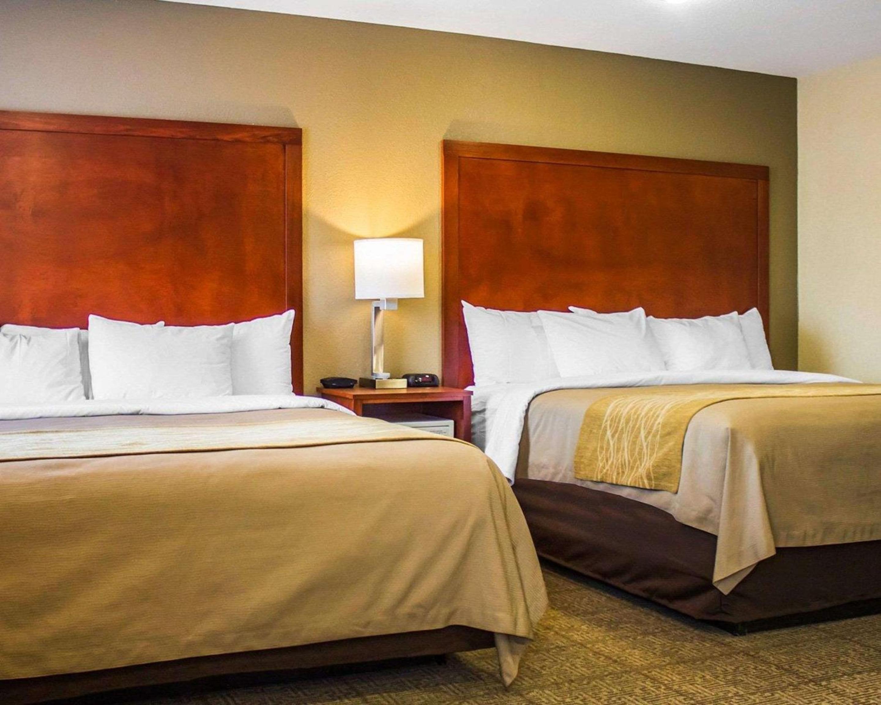 Comfort Inn Guilford near I-95 - Property Image 22