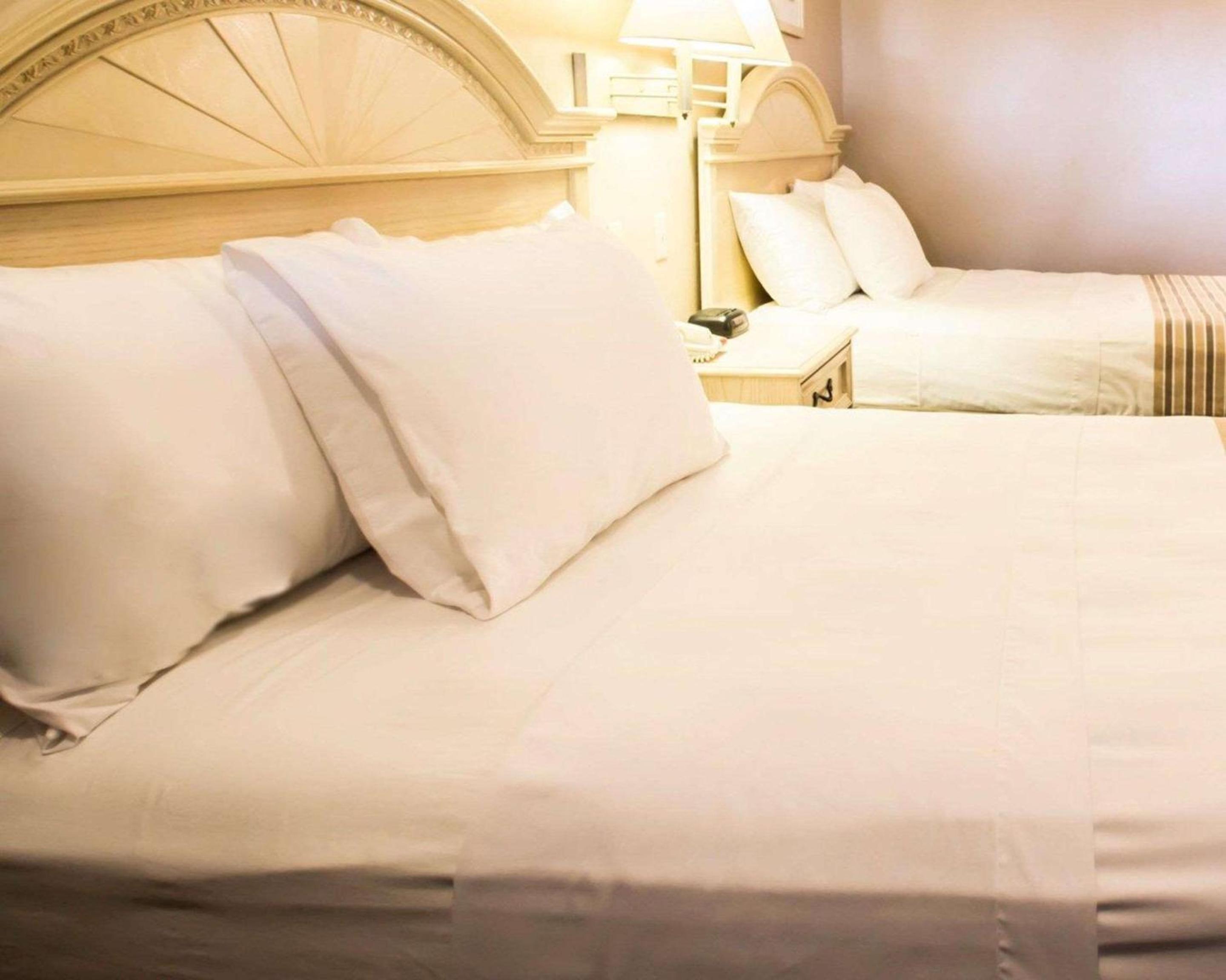 Rodeway Inn Apopka South