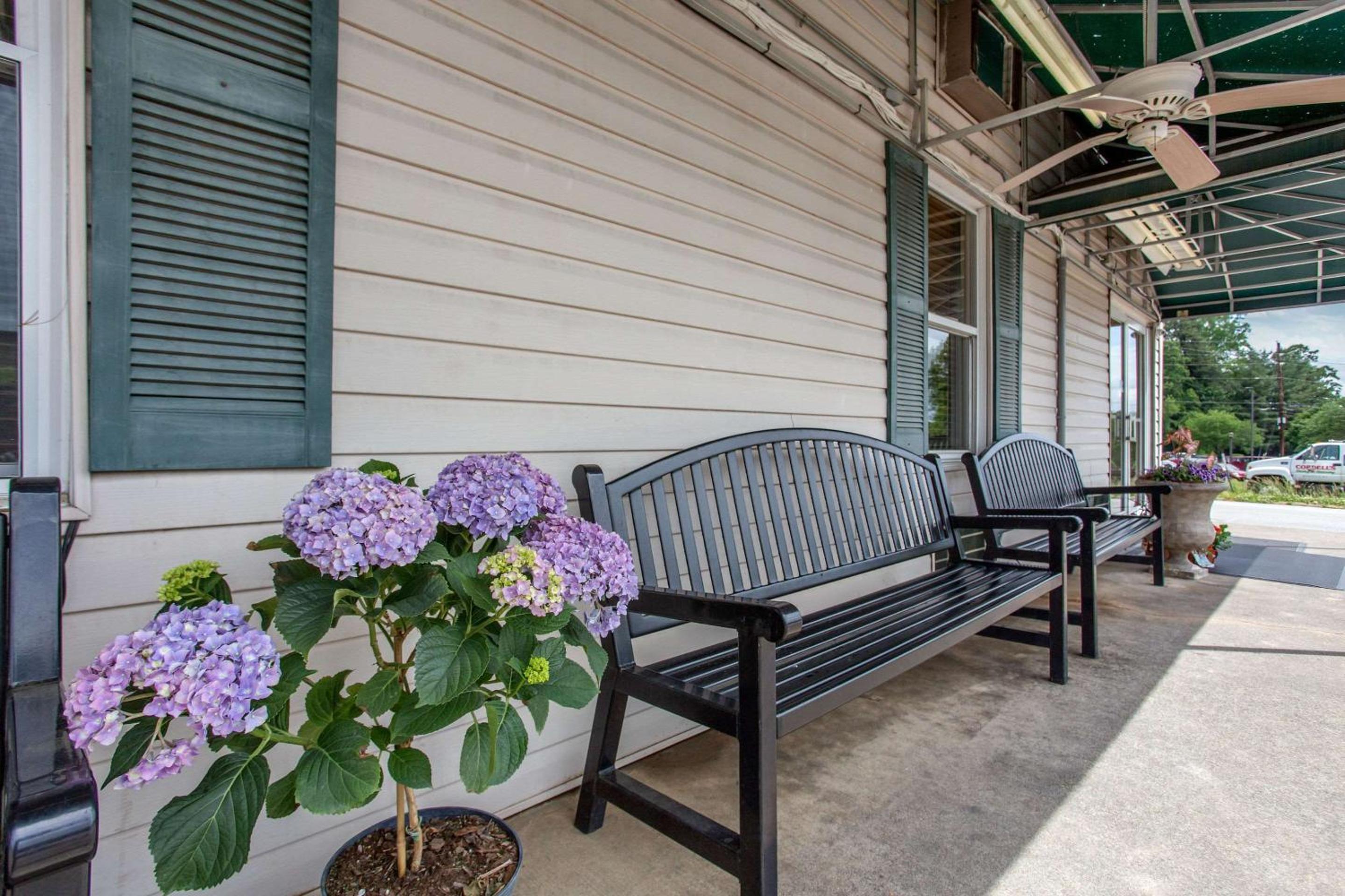 Rodeway Inn Asheville view 4